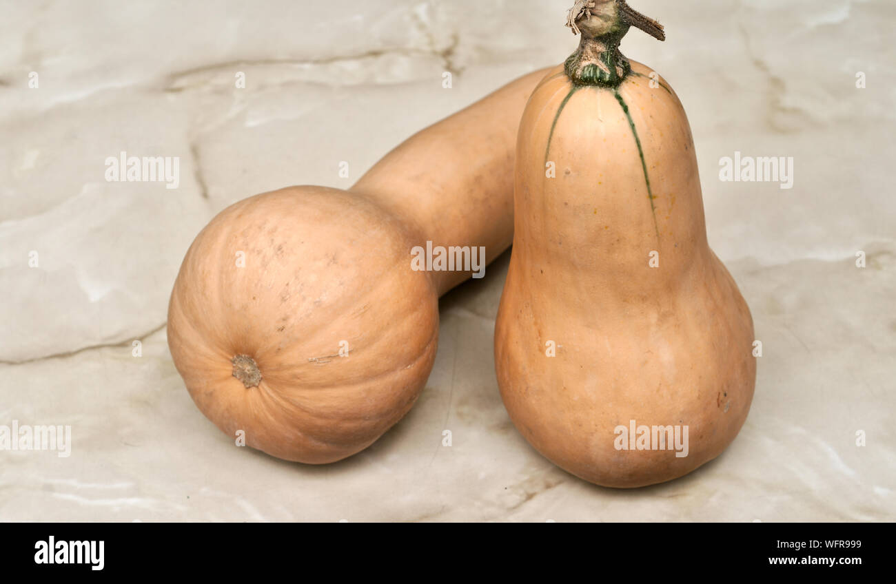 Allungate la varietà di zucca 'Moscada de Provenza' per gli sfondi e le texture Foto Stock