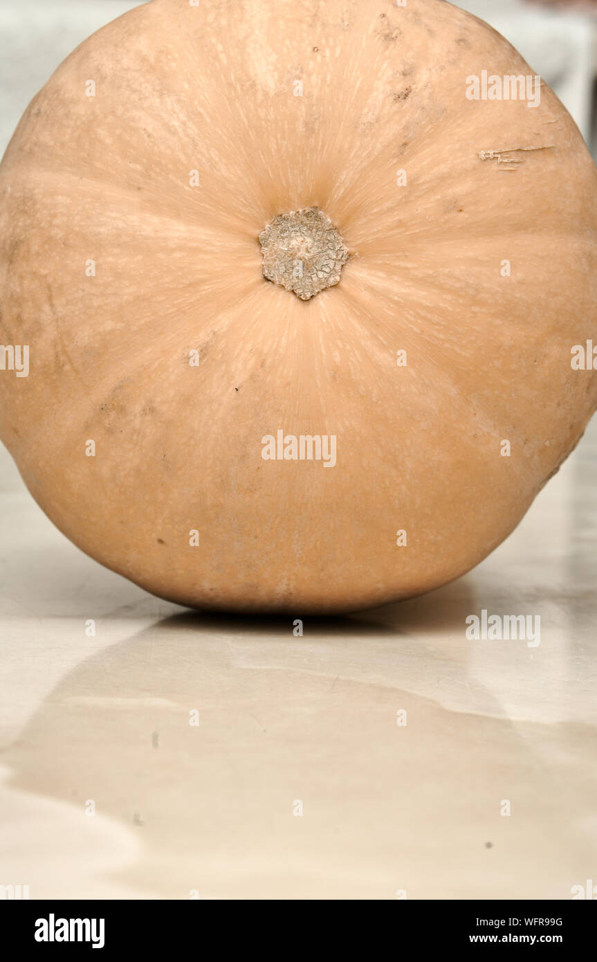 Allungate la varietà di zucca 'Moscada de Provenza' per gli sfondi e le texture Foto Stock