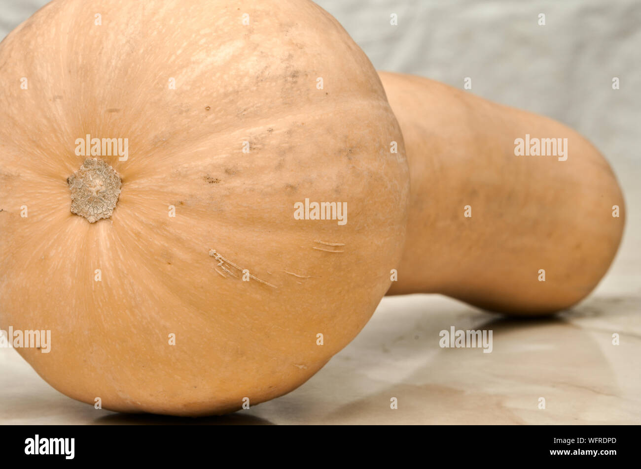 Allungate la varietà di zucca 'Moscada de Provenza' per gli sfondi e le texture Foto Stock