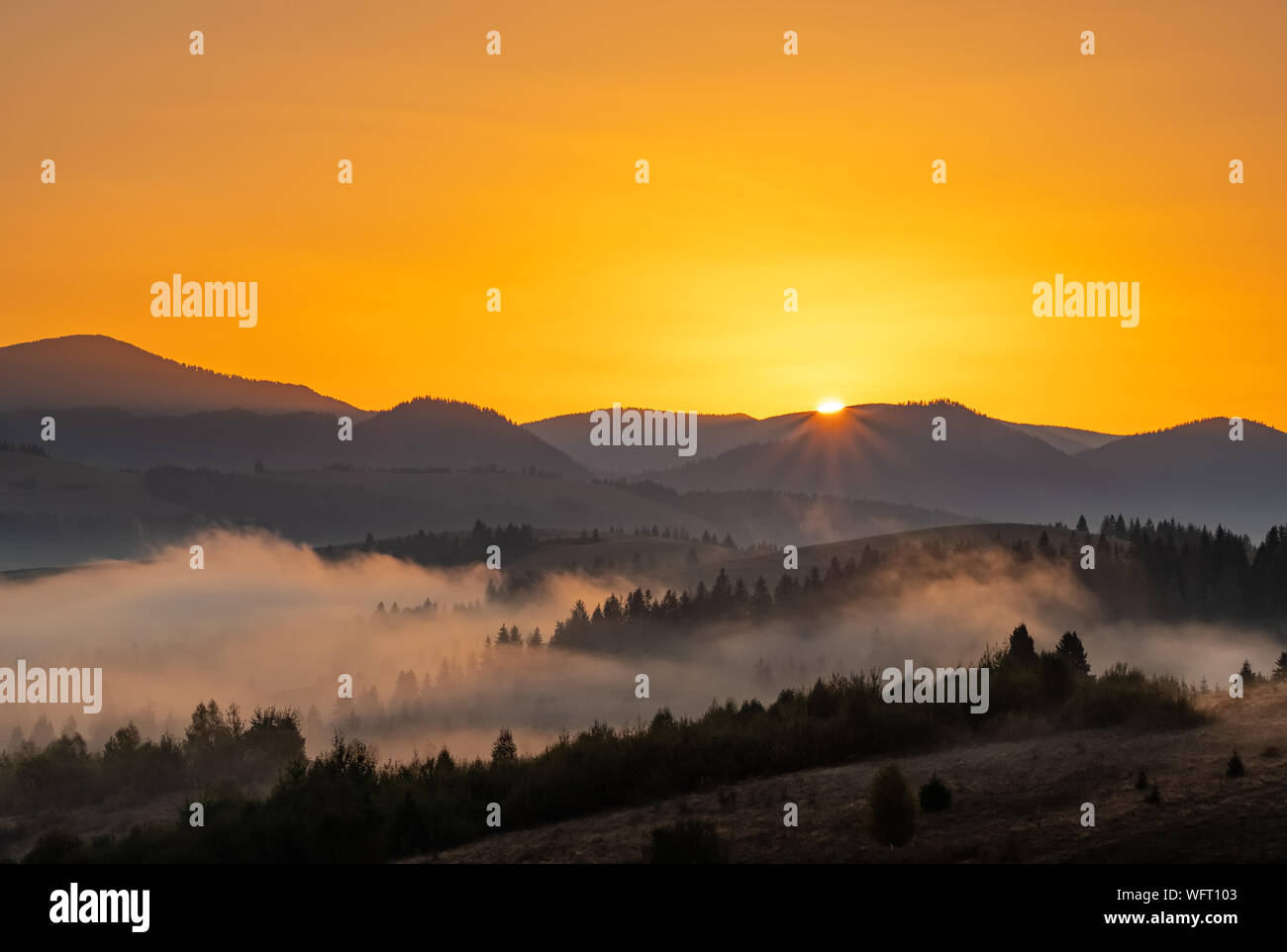 Bellissimo paesaggio autunnale presso sunrise g nelle montagne dei Carpazi, Ucraina Foto Stock