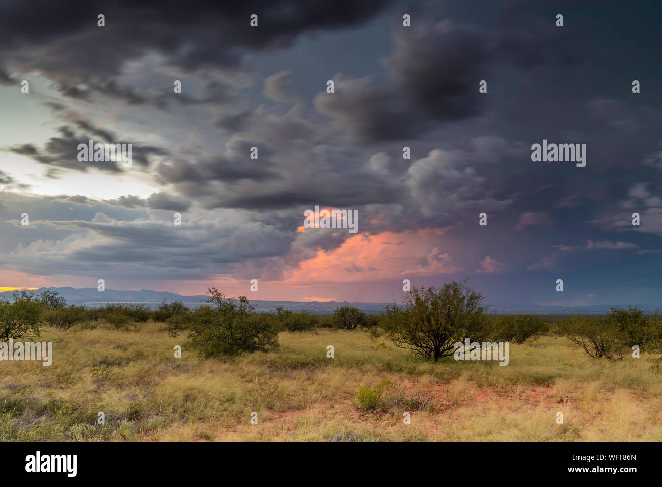 Monsoon ström nell'Arizona meridionale Foto Stock