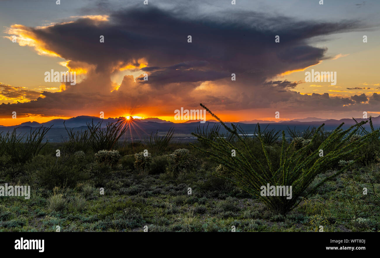 Tramonto sulla Green Valley, Arizona meridionale, Stati Uniti Foto Stock