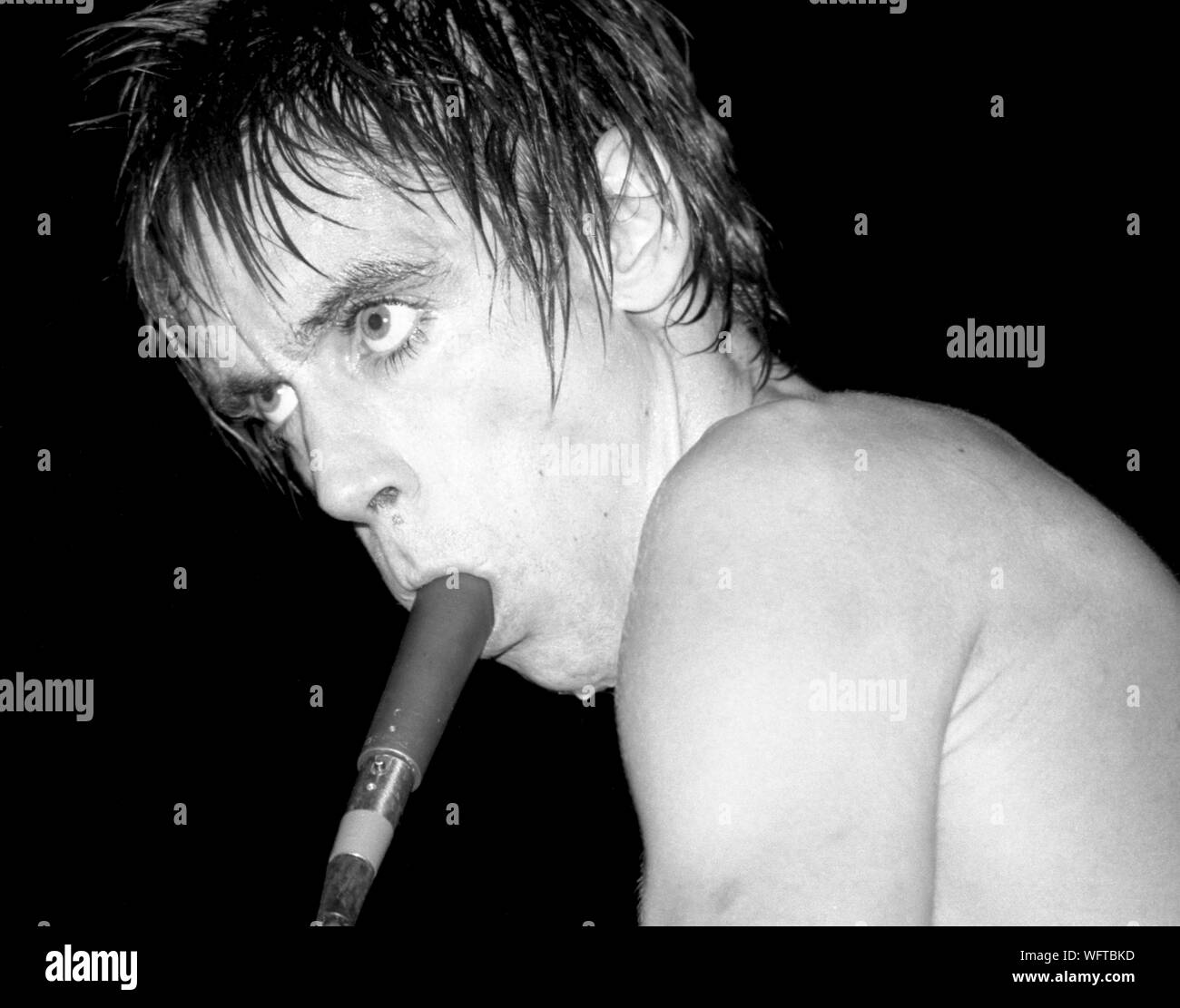 Iggy Pop esegue sul palco al Teatro Palladium nella città di New York nel novembre 1977 con un microfono nella sua bocca. Foto Stock