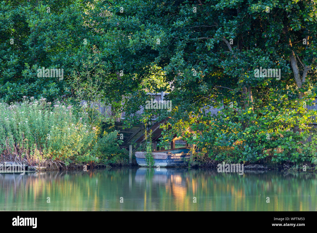 Vecchia barca a posto barca sul lago per la pesca, Somerset, Regno Unito Foto Stock