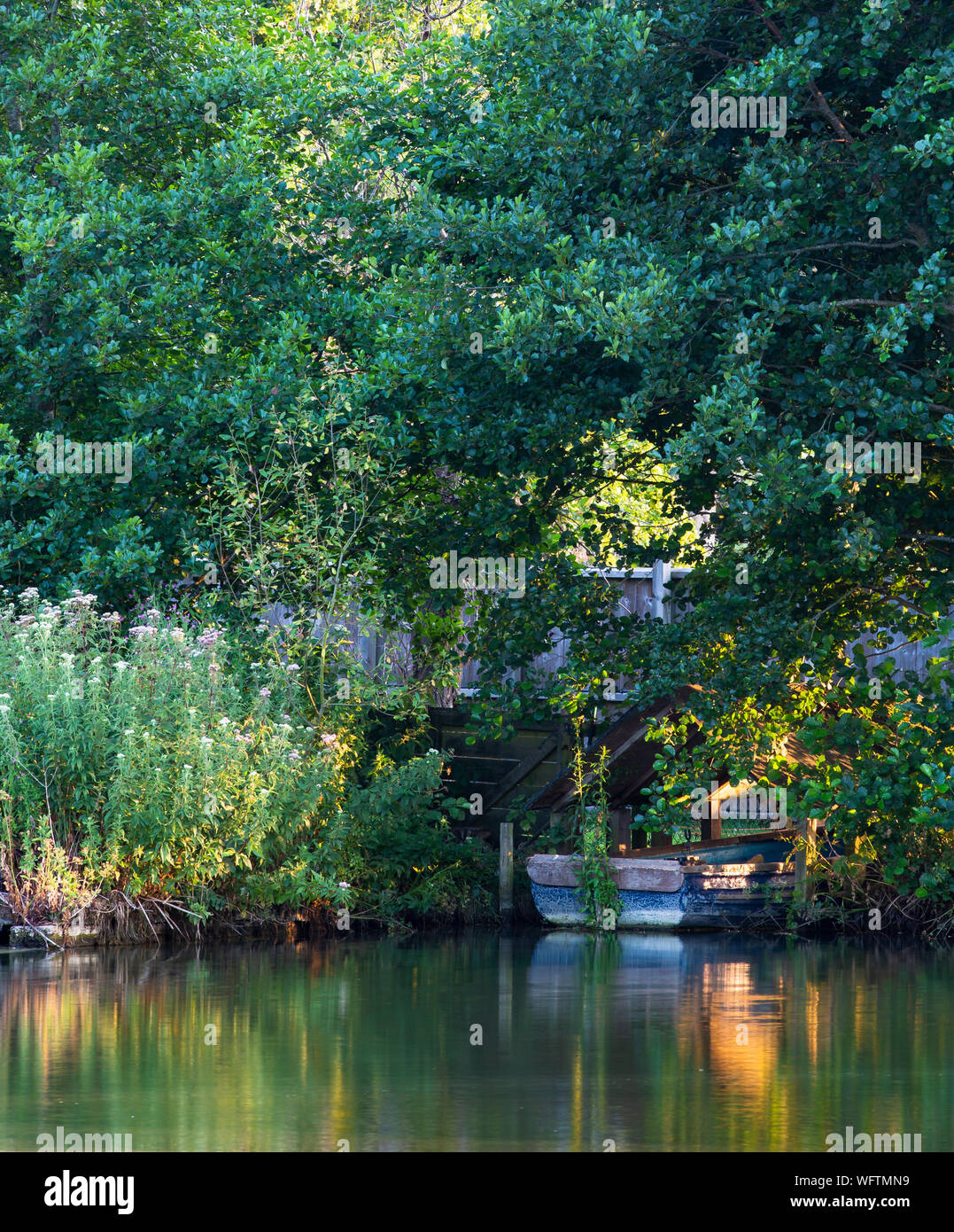Vecchia barca a posto barca sul lago per la pesca, Somerset, Regno Unito Foto Stock