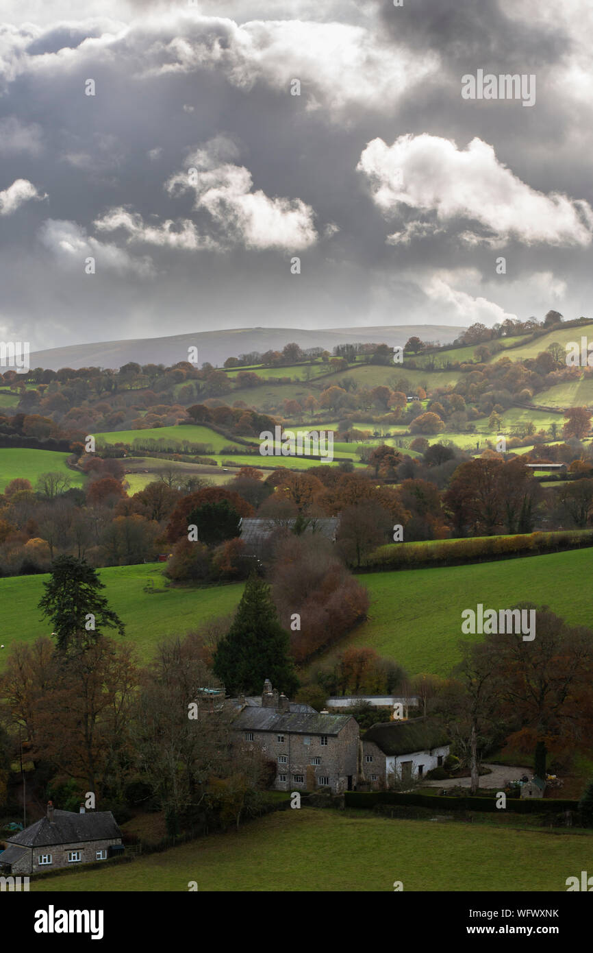 Il Teign Valley vicino a Castle Drogo Foto Stock