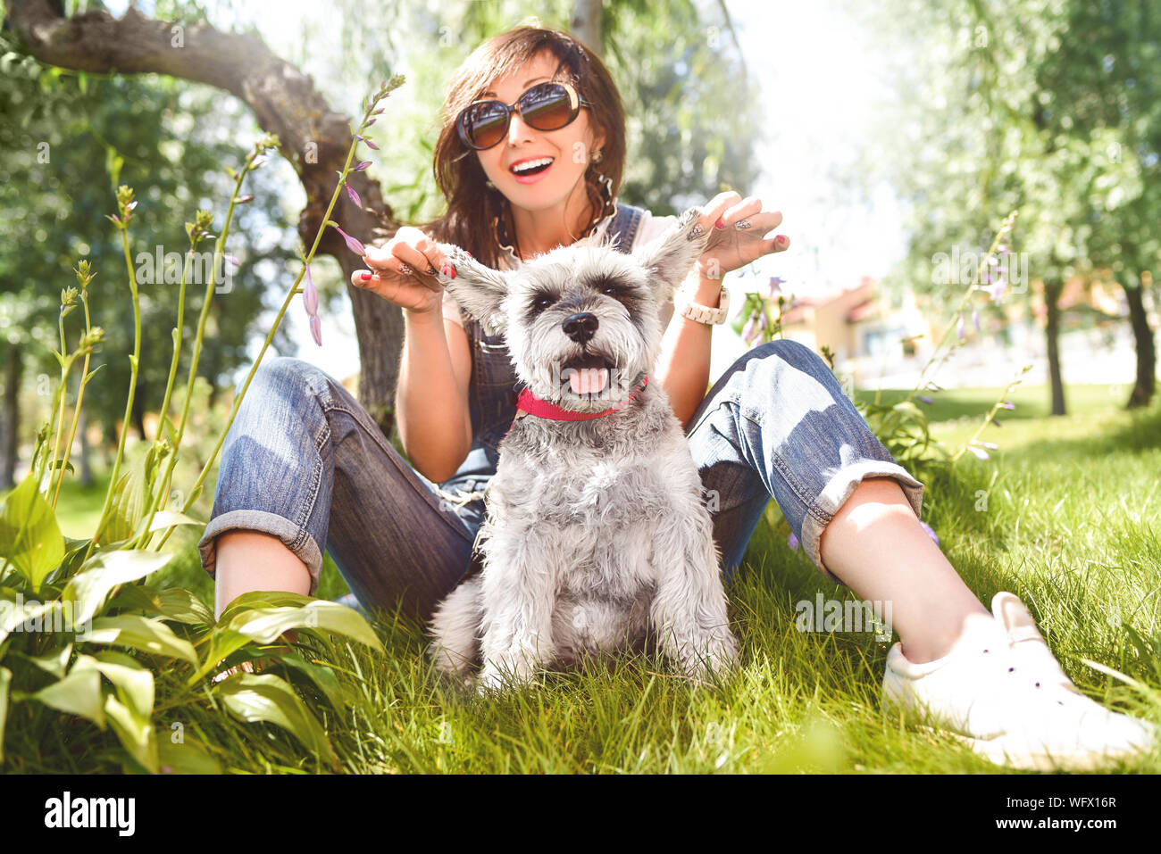Felice donna caucasici in occhiali da sole di riposo in natura con il suo amato cane schnauzer. Foto Stock