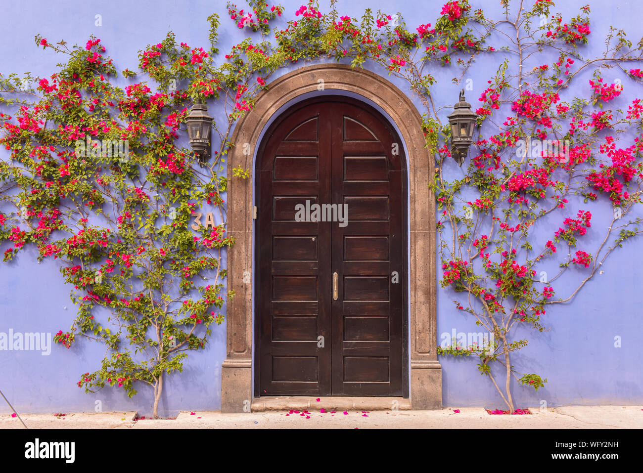 Bouganville intorno a una vecchia porta, San Miguel De Allende, Messico Foto Stock
