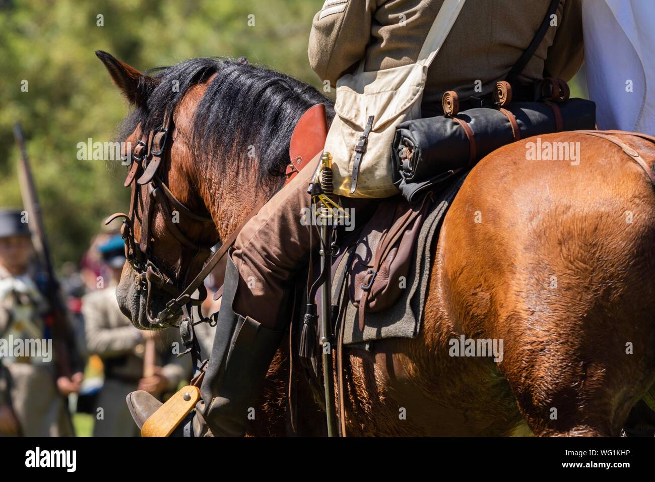 Un uomo in uniforme confederati in sella ad un cavallo in battaglia durante la Guerra Civile rievocazione storica Foto Stock