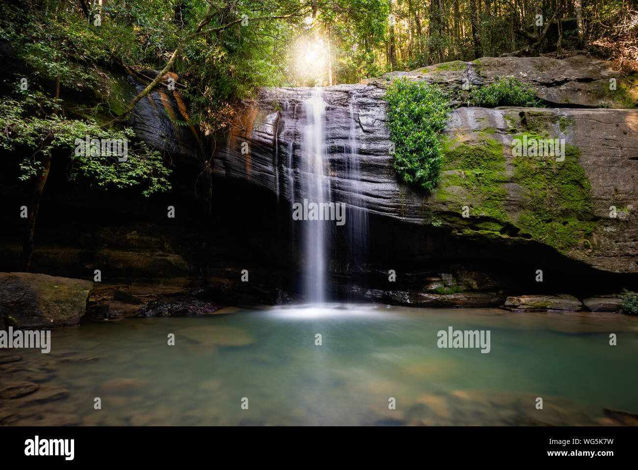 Fluente Buderim cade nella Sunshine Coast entroterra Foto Stock