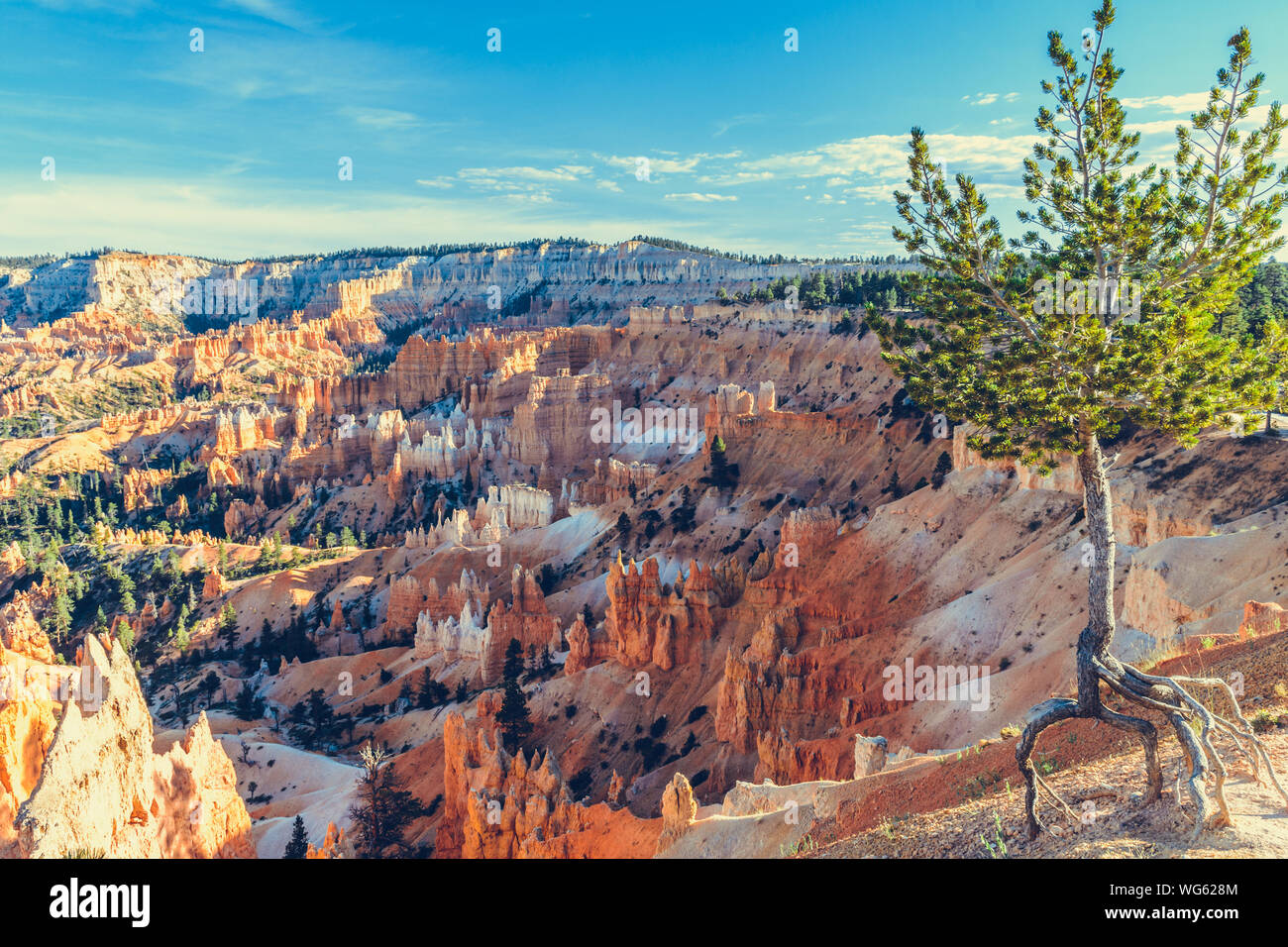 Parco Nazionale di Bryce Canyon, Utah, Stati Uniti d'America Foto Stock