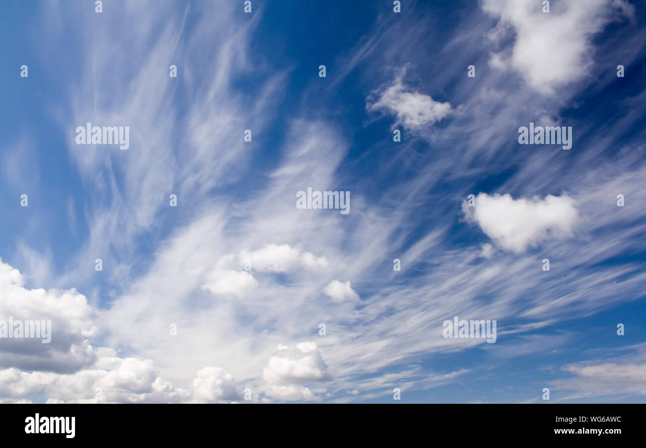 Cielo blu e nuvole bianche. In estate il vento Foto Stock