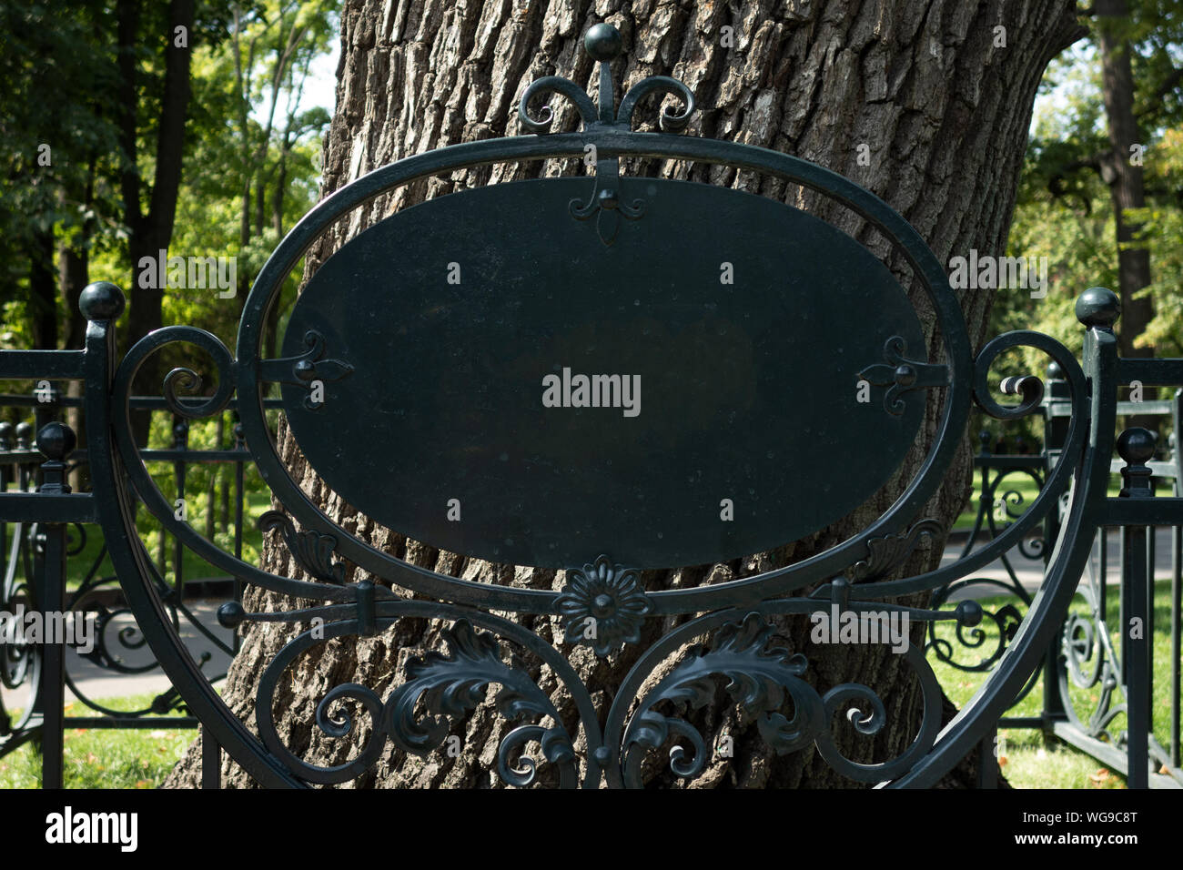 Vuoto Segno bianco sul metallo recinzione di forgiatura davanti al grande albero. Mock up della tabella informazioni sulla targhetta per aggiungere qualsiasi testo di simboli. Cartello in posizione di parcheggio o di bo Foto Stock