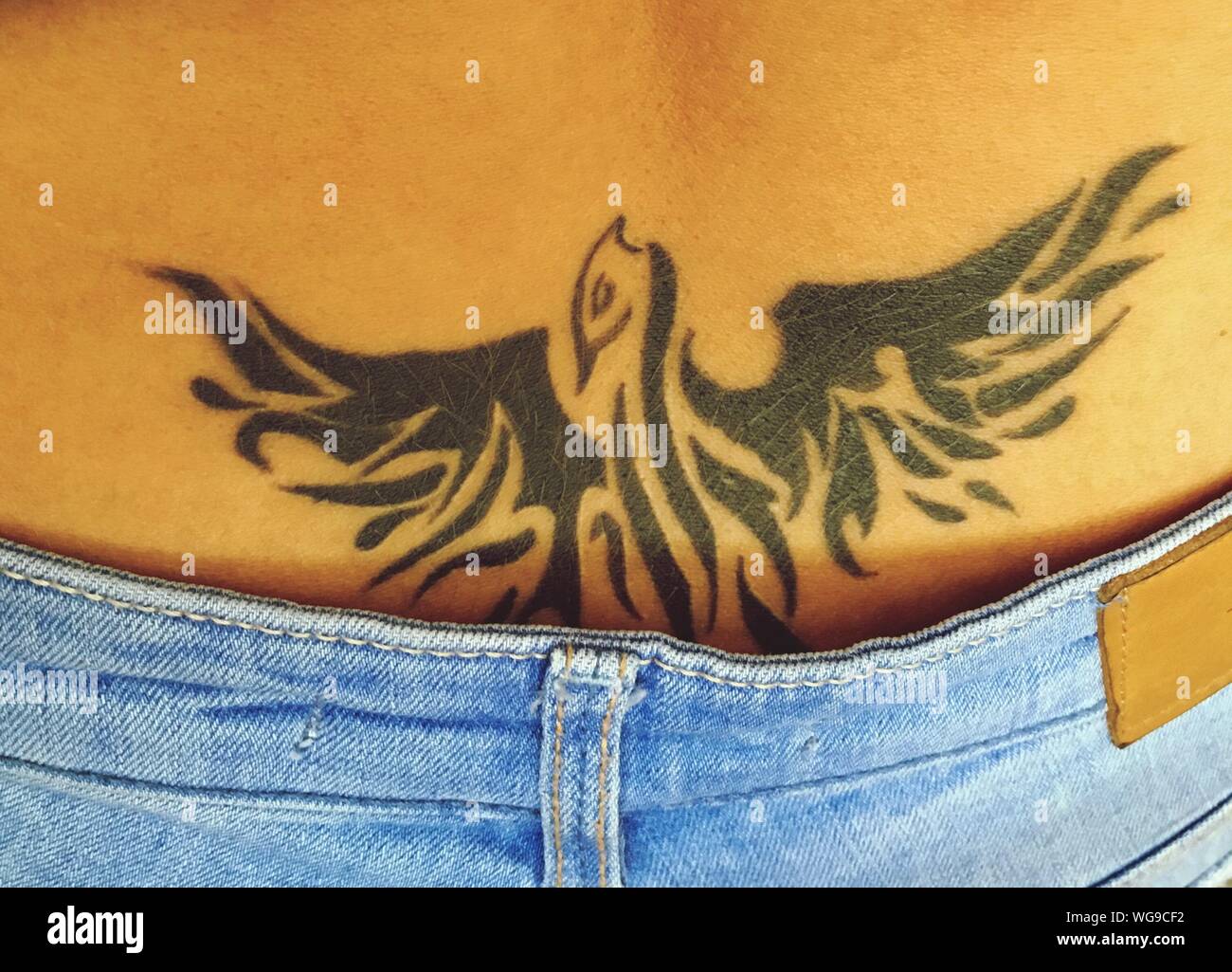 Close-up di Bird Tattoo sulla cintura donna Foto stock - Alamy