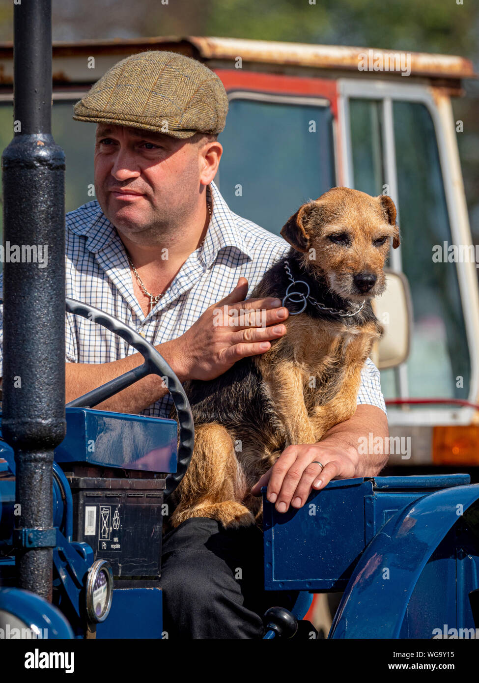 Uomo con cane sul trattore vintage Foto Stock