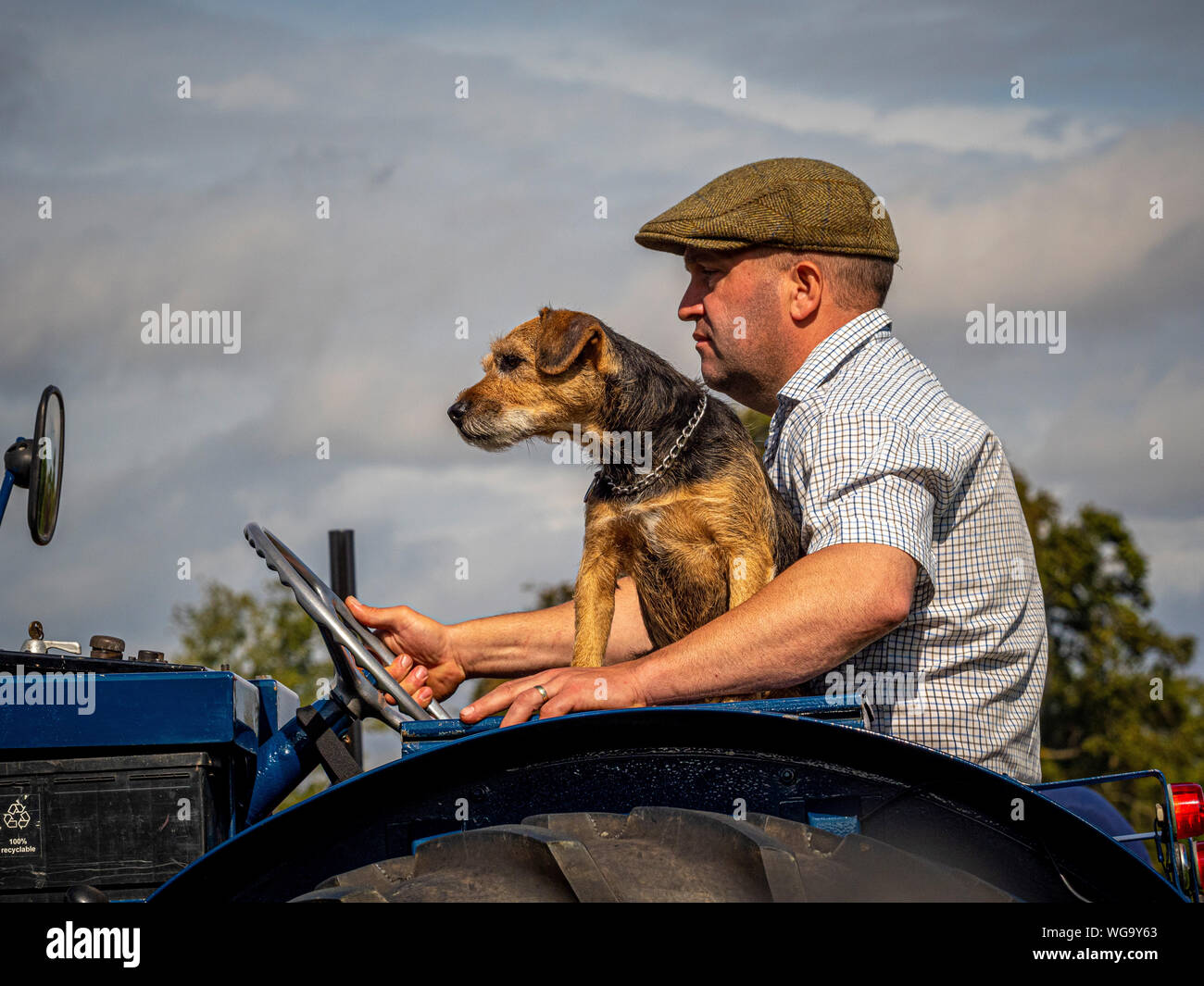 Uomo con cane sul trattore vintage Foto Stock