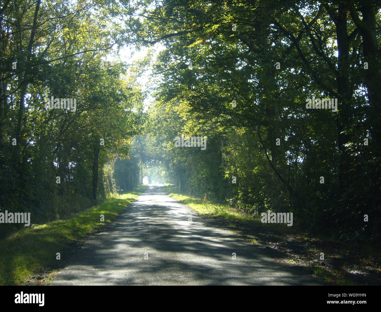 Parco Nazionale del Distretto dei Laghi England Regno Unito Foto Stock