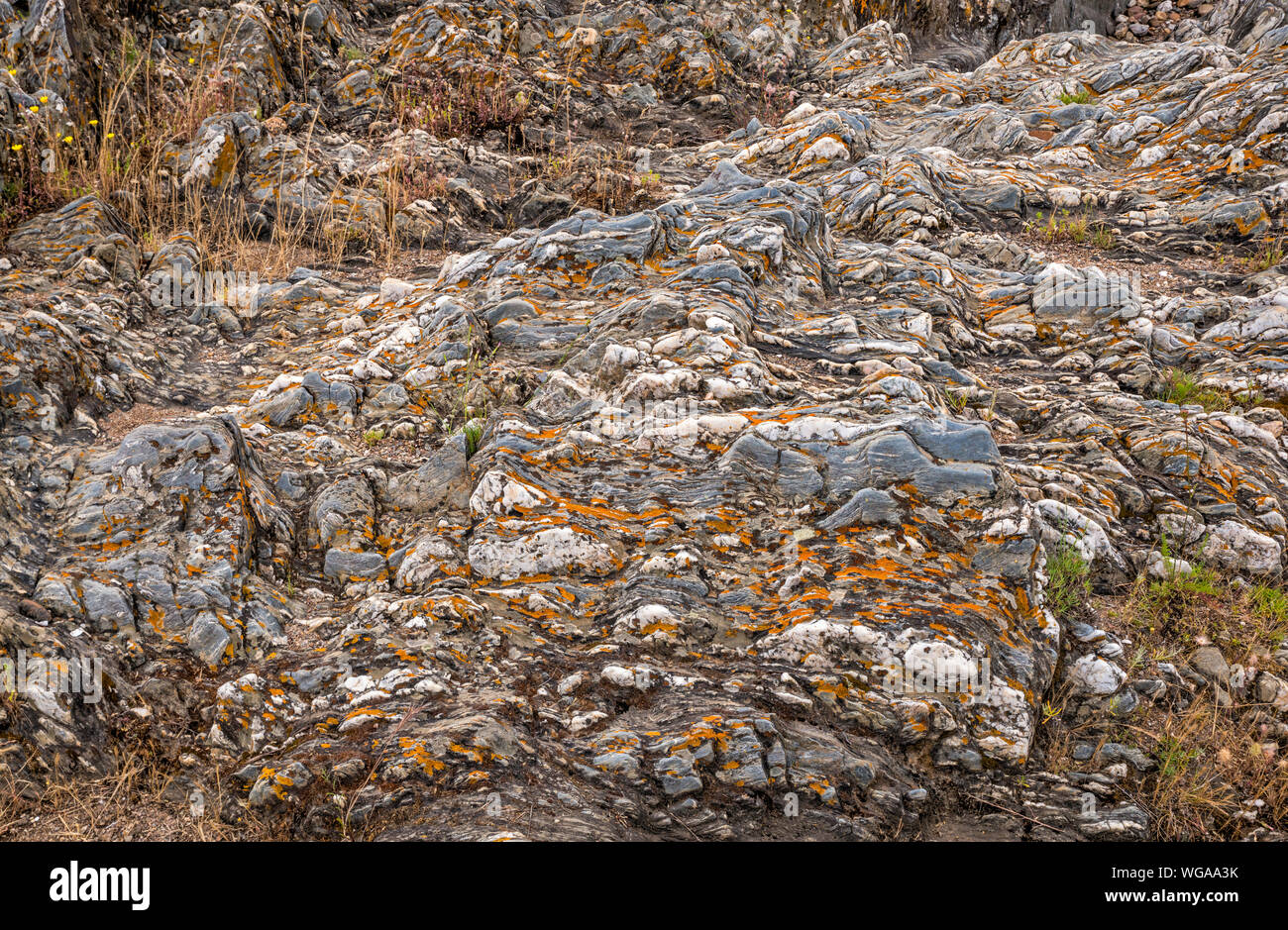 Lo scisto in rocce metamorfiche vicino Pulo do Lobo cascata sul Rio Guadiana Guadiana Valley Natural Park, distretto di Beja, Baixo Alentejo, Portogallo Foto Stock