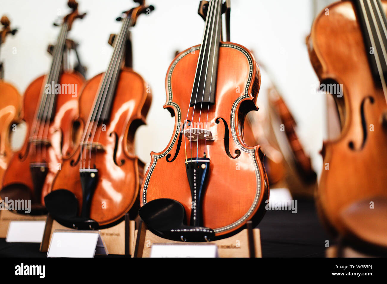 Dettagli con parti di violini prima sinfonica concerto di musica classica Foto Stock