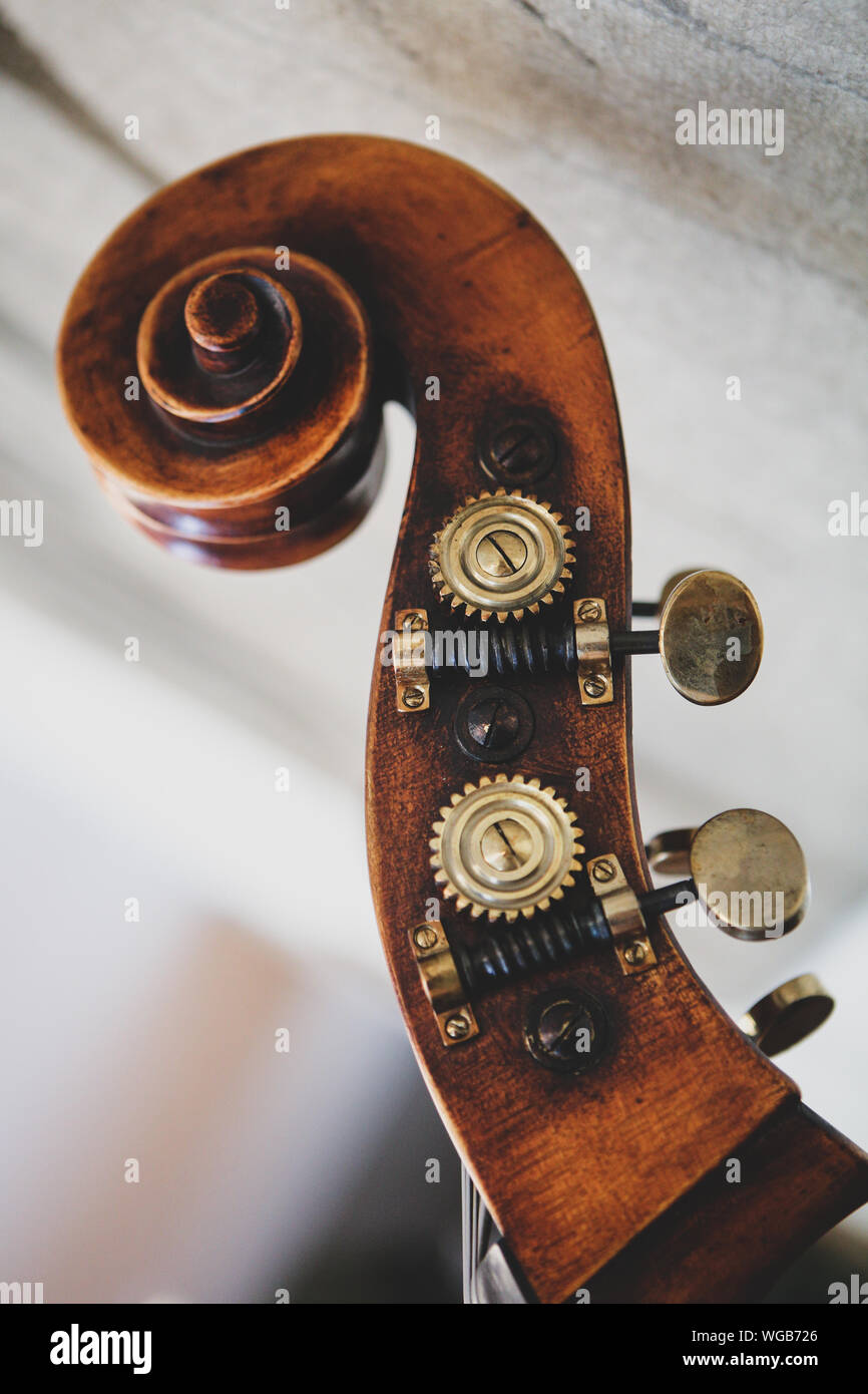 Dettagli con la rotellina di scorrimento, casella di PEG, dadi, teste della macchina, i tasti tuning e sintonizzatori (testa) di un contrabbasso Foto Stock