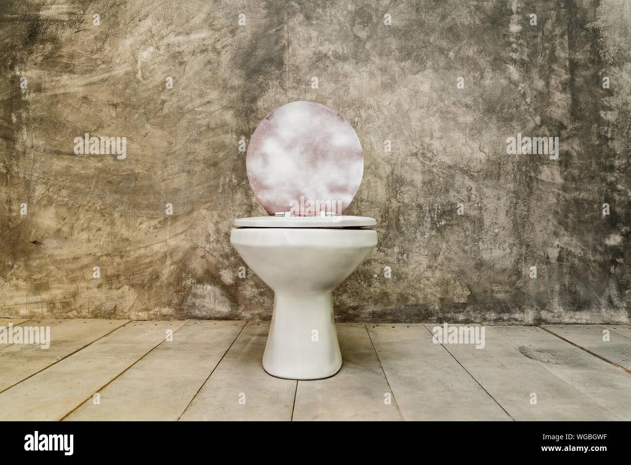 Old Toilet Bowl In Immagini E Fotos Stock Alamy