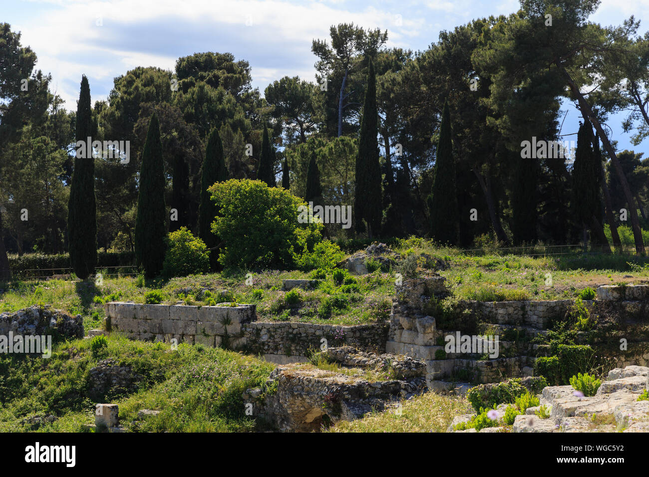 Vecchio cresciuto con scale di erba di antiche rovine dell'Anfiteatro Romano Siracusa Foto Stock