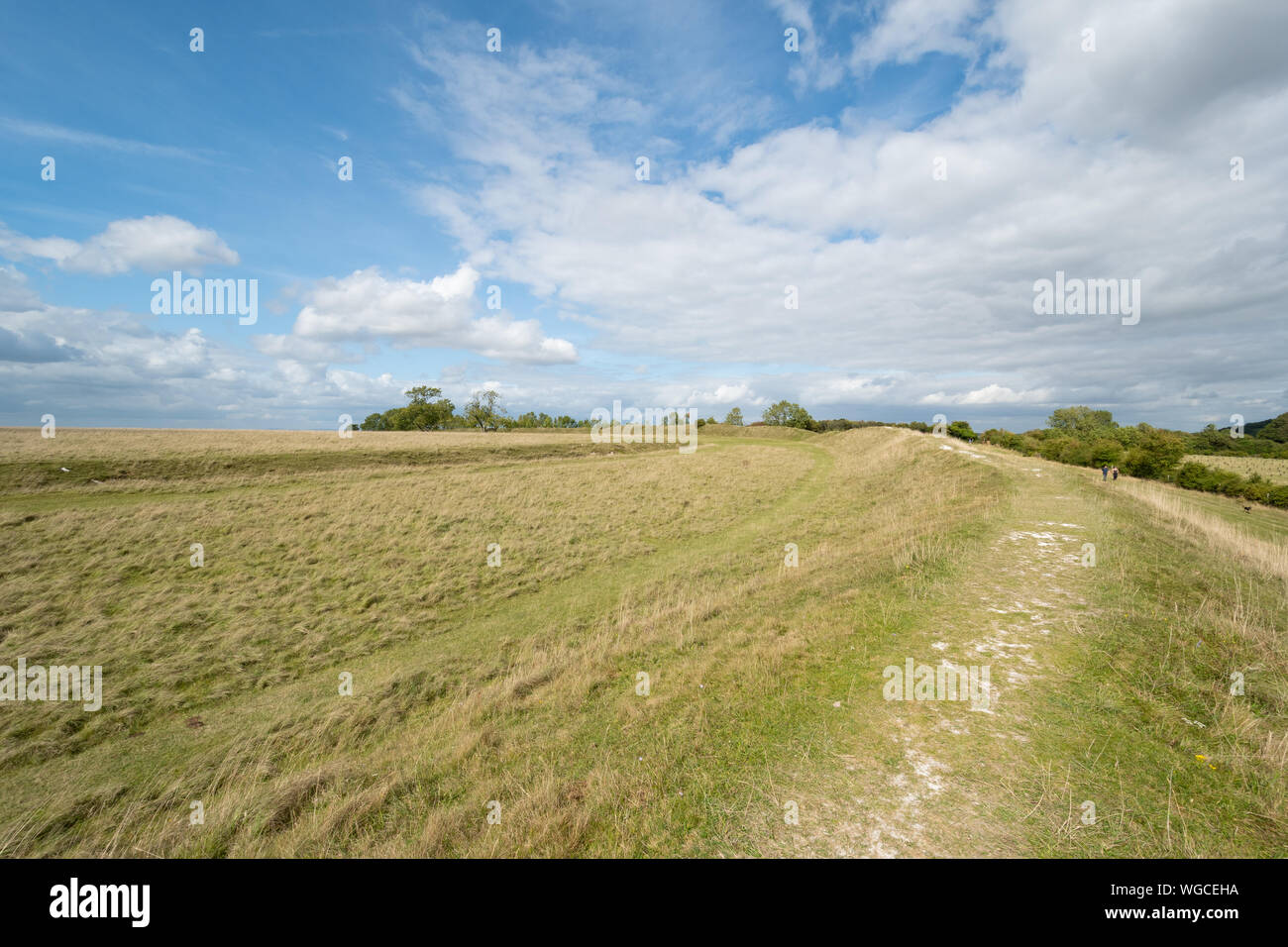 Vista di Figsbury Ring, un'età del ferro hill fort e enclosure del neolitico e un SSSI, nel Wiltshire, Inghilterra, Regno Unito Foto Stock