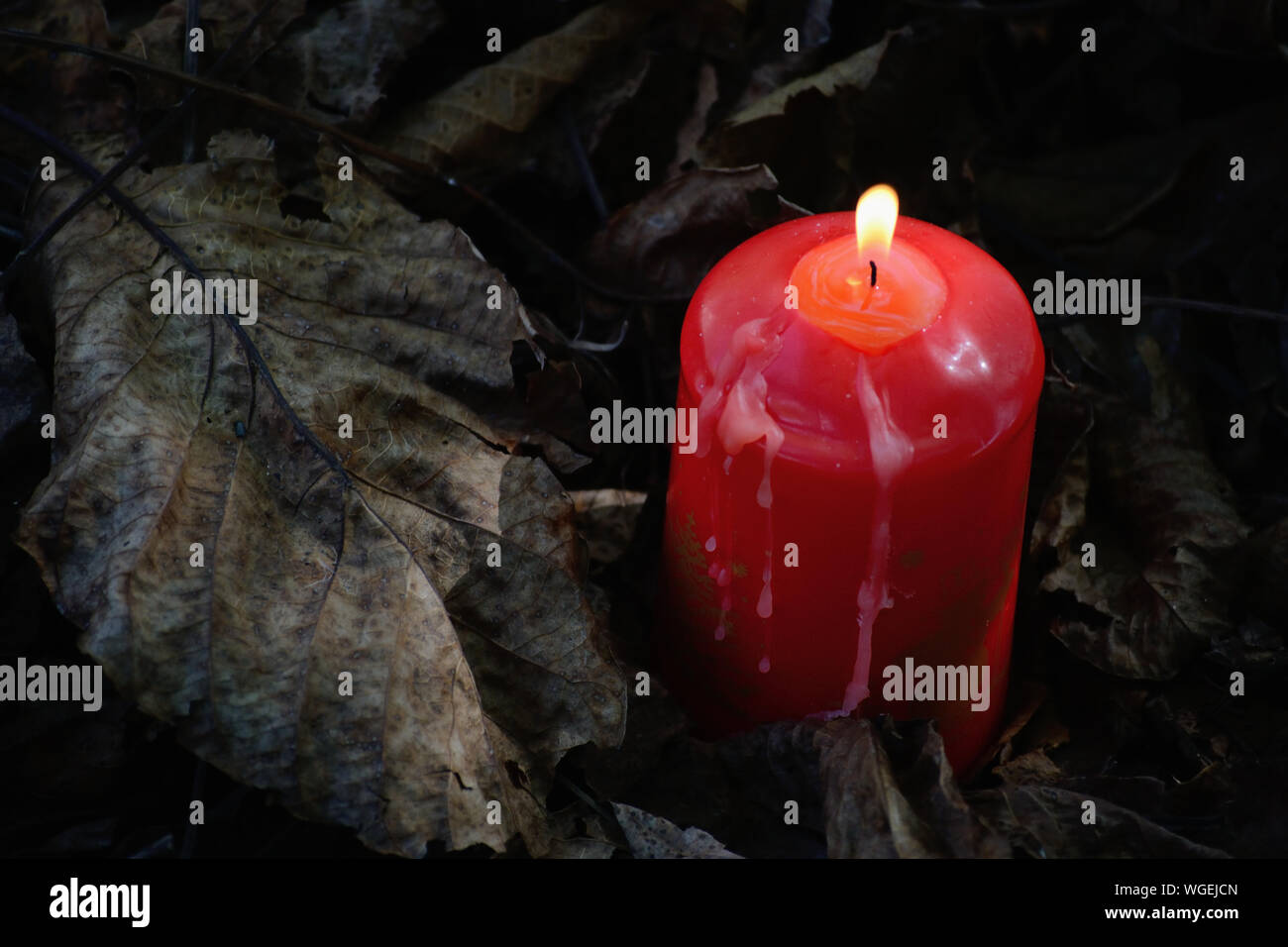 Red candela che brucia sulla caduta foglie Foto Stock