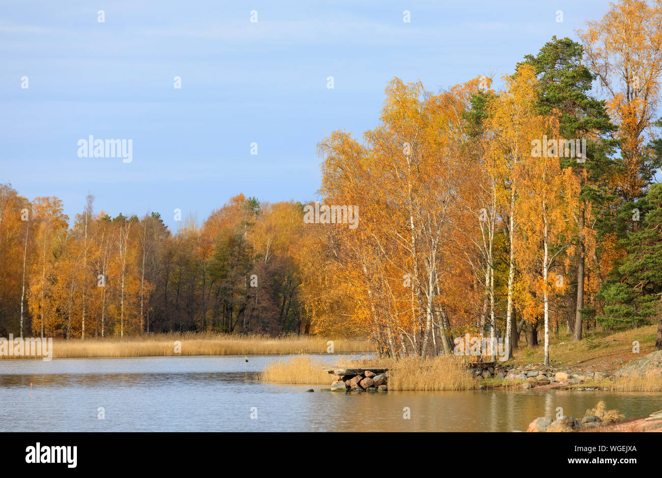 Colori d'autunno foresta accanto a un lato acqua Foto Stock