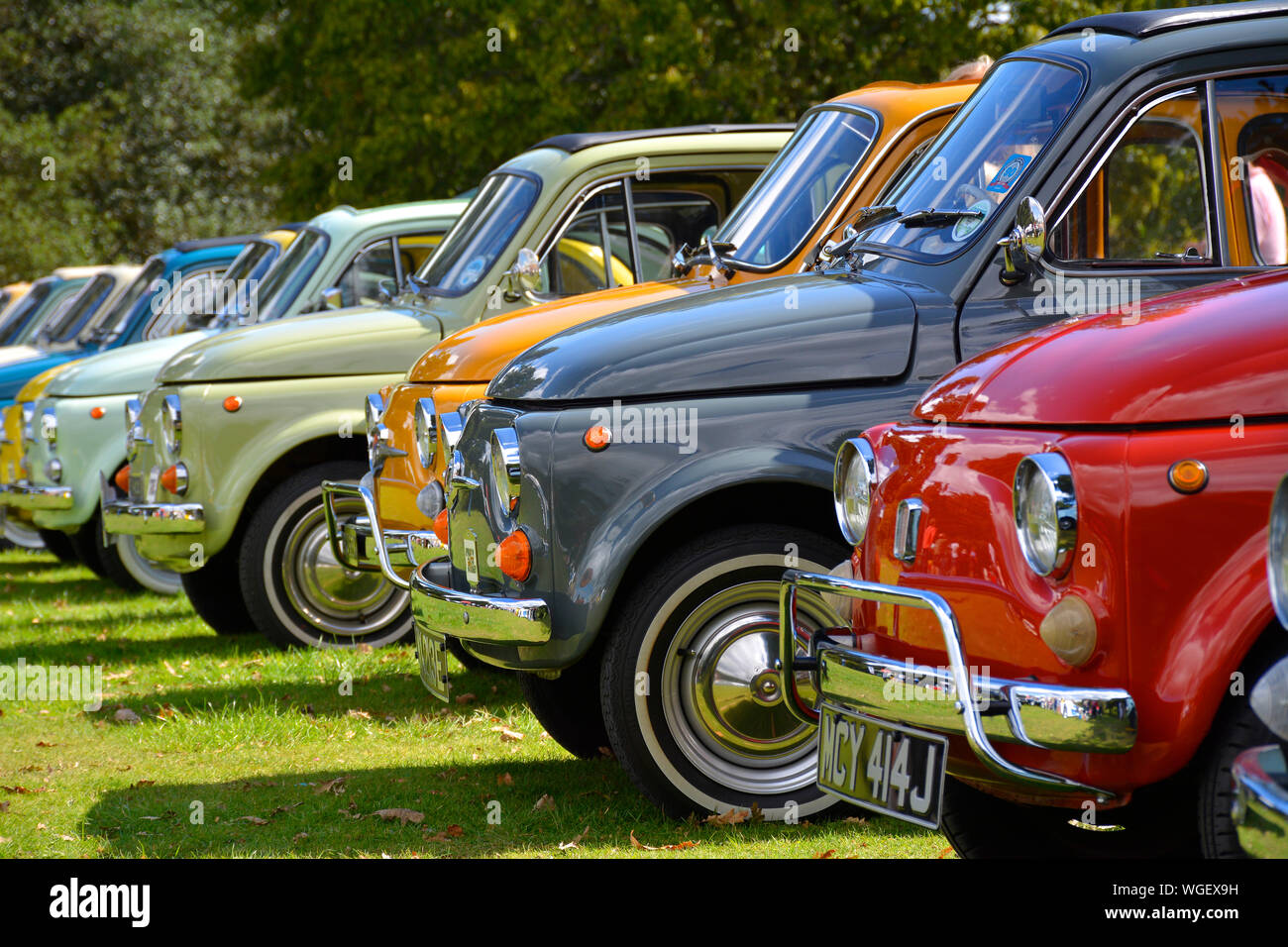 Coloratissima linea di classic 500 Fiat auto al Car Show, REGNO UNITO Foto Stock