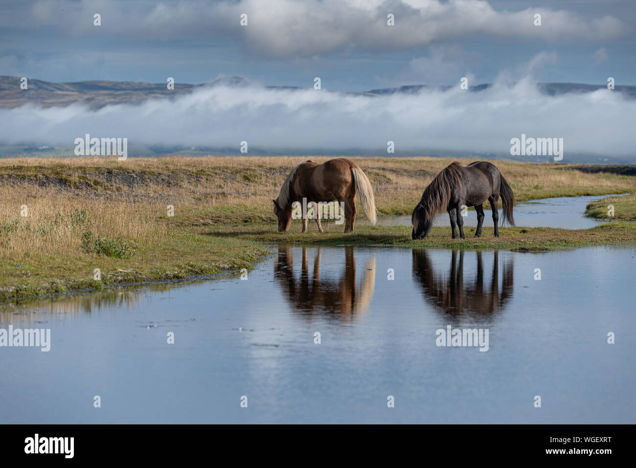 Proprio come un'altra riflessione islandese Foto Stock