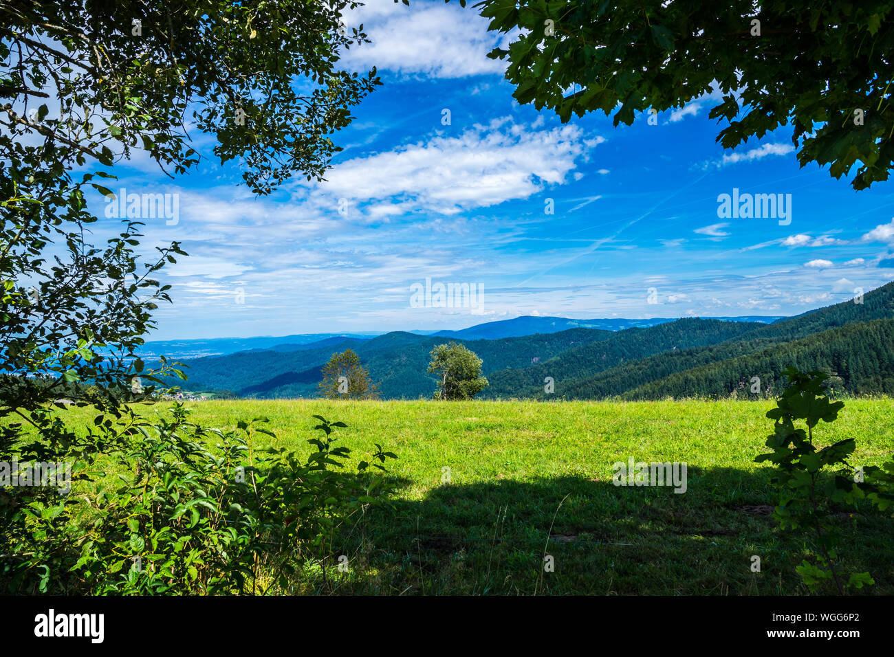 Germania, foresta nera paesaggio di infinite tree coperto i monti e la valle da una montagna a st Ulrich vicino a Freiburg im Breisgau e schauinsland Foto Stock