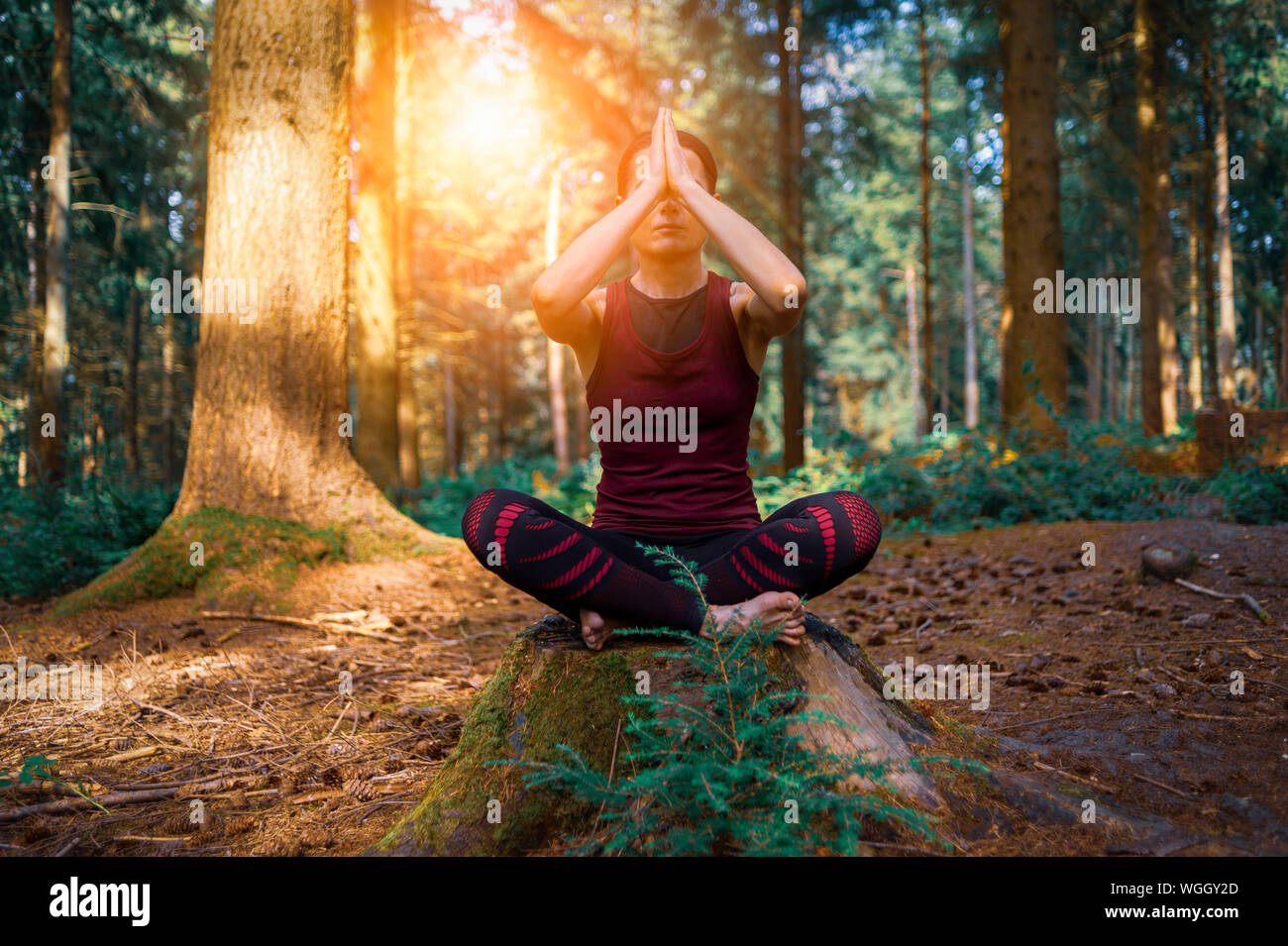 Donna seduta su un ceppo di albero in una foresta meditando, la pratica dello yoga. Foto Stock