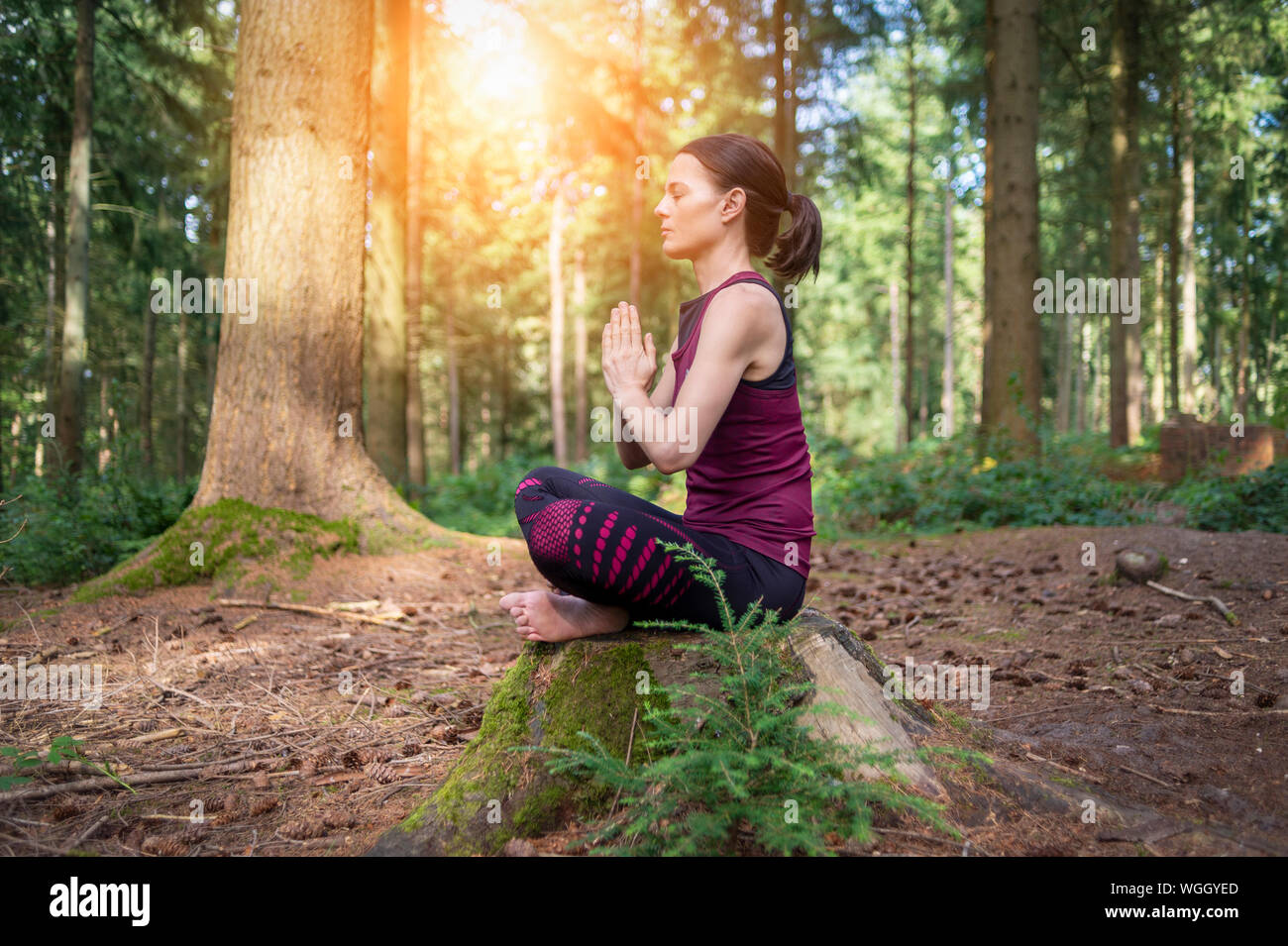 Donna seduta su un ceppo di albero in una foresta meditando, la pratica dello yoga. Foto Stock