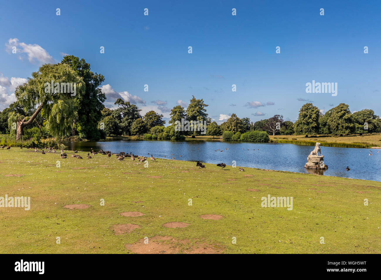 Il laghetto superiore a Petworth Park, West Sussex, Regno Unito Foto Stock