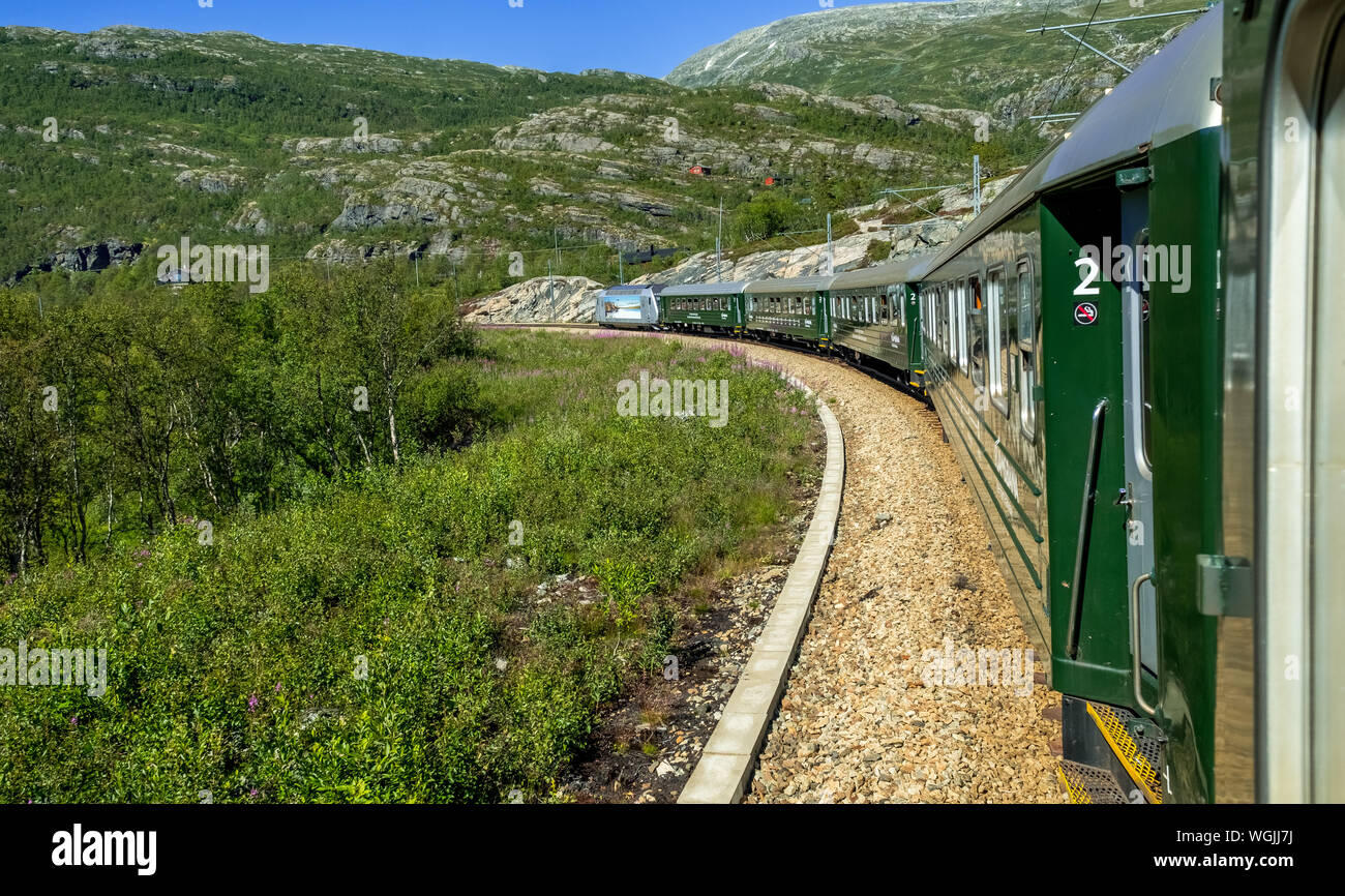 Flamsbahn nelle montagne, vicino Fureberget, alberi, sky, Flåm, Sogn og Fjordane, Norvegia, Scandinavia, Europa, né, viaggi, turismo, destinazione, vista Foto Stock