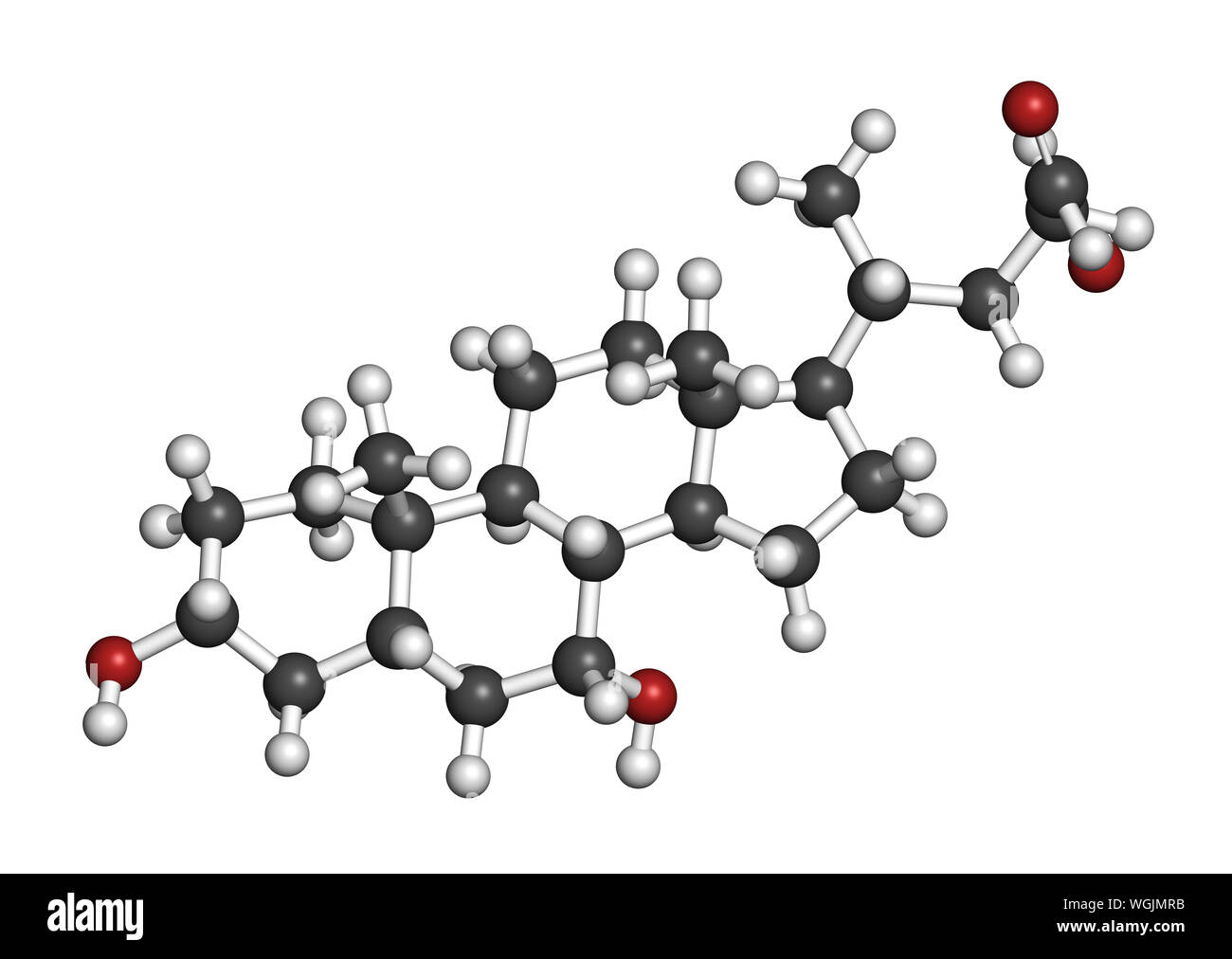 Acido chenodesossicolico molecola di farmaco. Il rendering 3D. Gli atomi sono rappresentati come sfere con i tradizionali colori: idrogeno (bianco), carbonio (grigio), o Foto Stock
