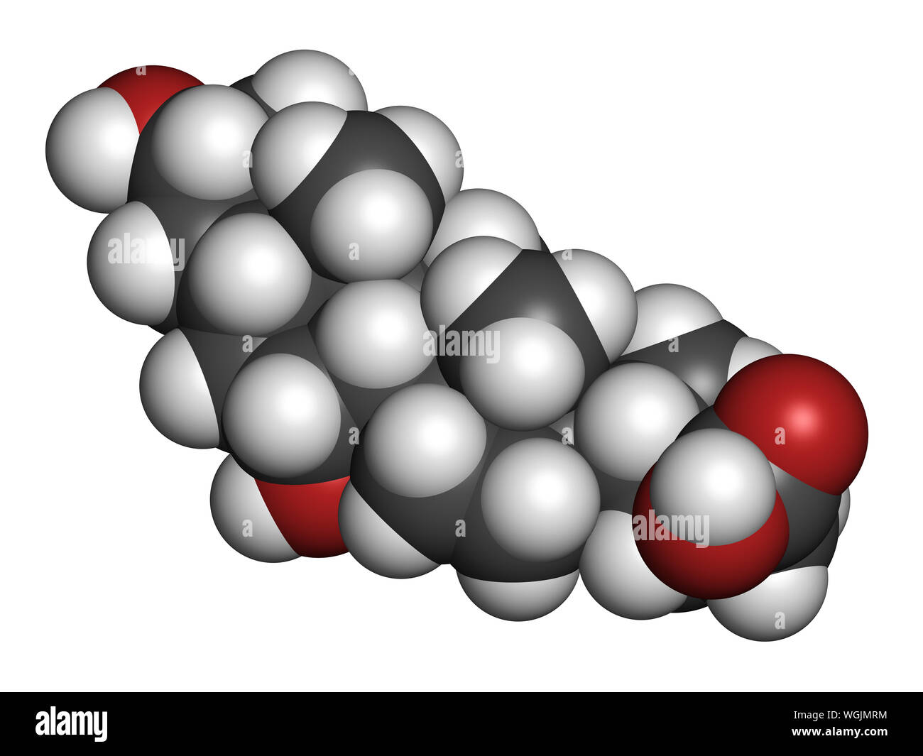 Acido chenodesossicolico molecola di farmaco. Il rendering 3D. Gli atomi sono rappresentati come sfere con i tradizionali colori: idrogeno (bianco), carbonio (grigio), o Foto Stock