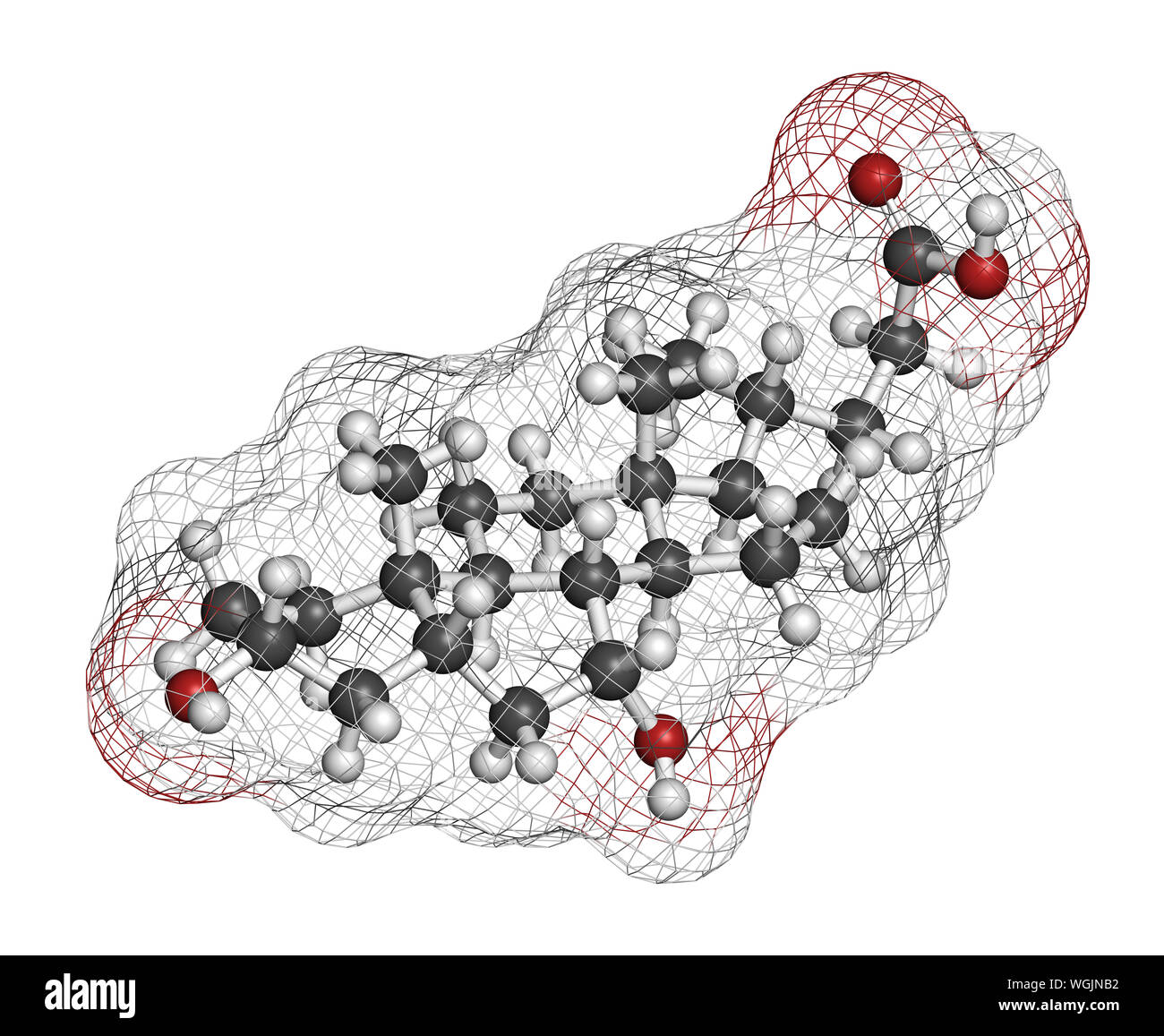 Acido chenodesossicolico molecola di farmaco. Il rendering 3D. Gli atomi sono rappresentati come sfere con i tradizionali colori: idrogeno (bianco), carbonio (grigio), o Foto Stock