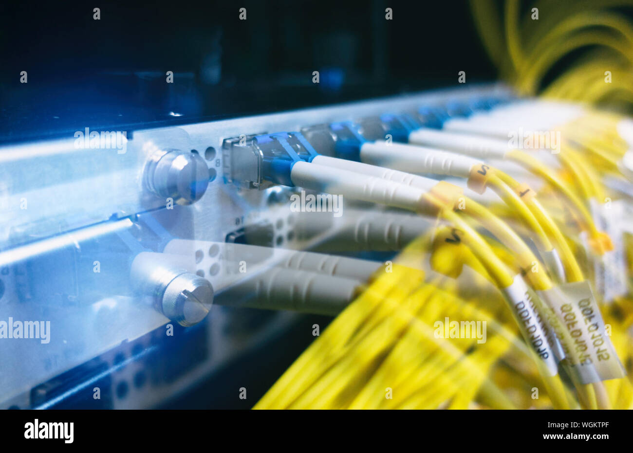 Chiudere fino a fibra ottica in sala server , i cavi di rete installati in rack Foto Stock