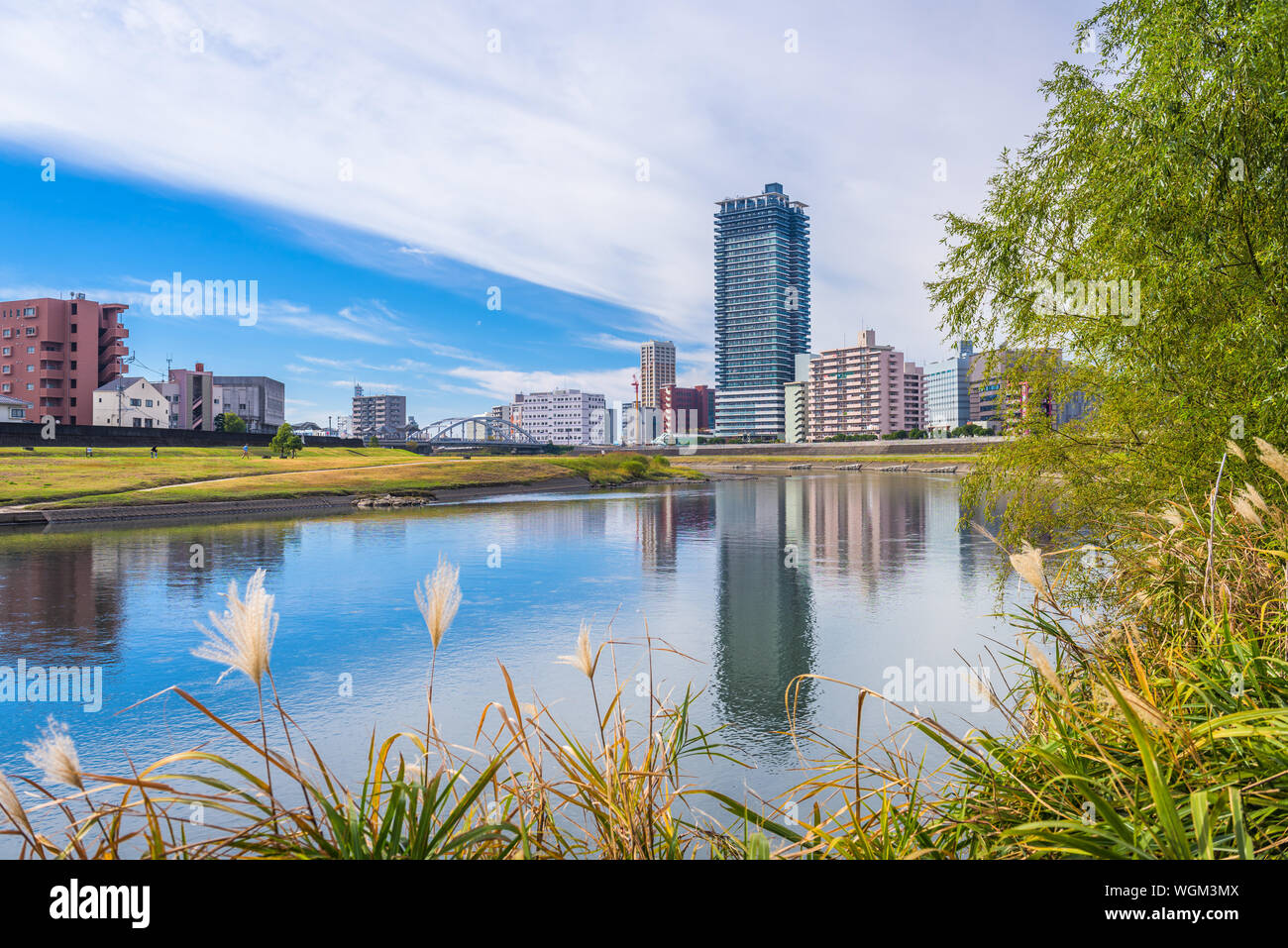 Kumamoto, Giappone downtown cityscape sul Fiume Shirakawa nel pomeriggio. Foto Stock