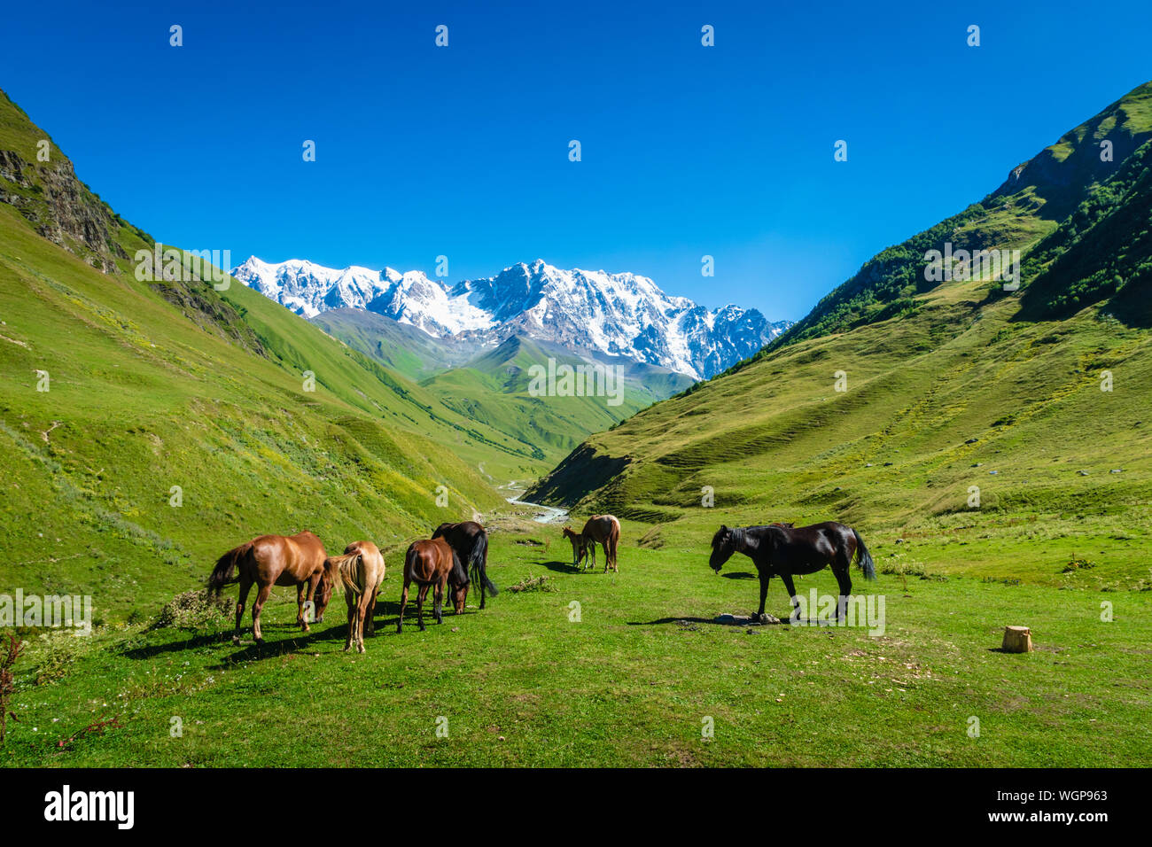 Ushguli paesaggio con il Monte Shkhara nel retro nella regione di Svaneti, Georgia. Foto Stock