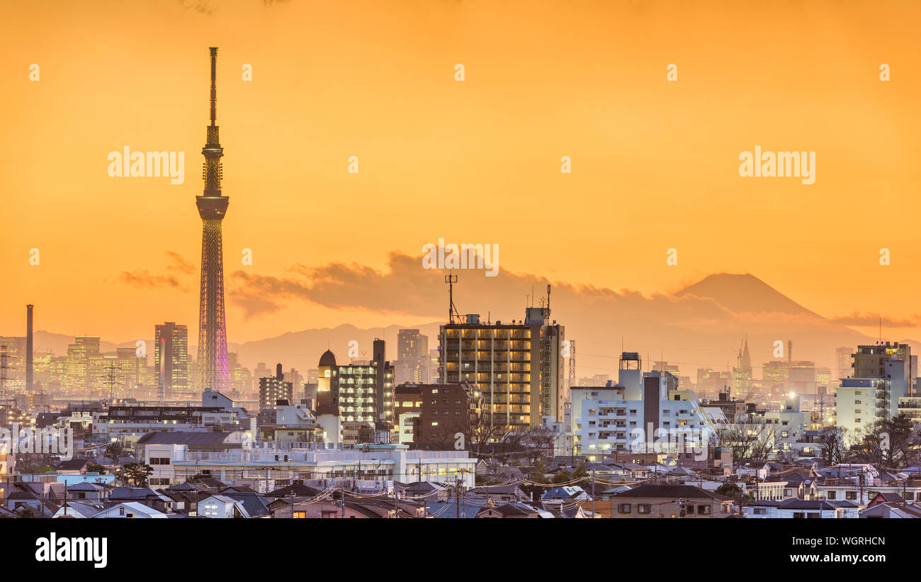 Tokyo, Giappone quartieri e città al crepuscolo con la torre e Mt. Fuji in lontananza. Foto Stock