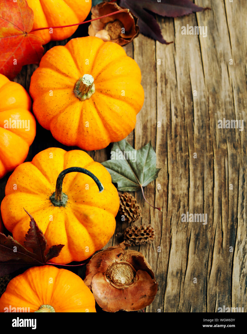Autunno zucche su sfondo di legno Foto Stock