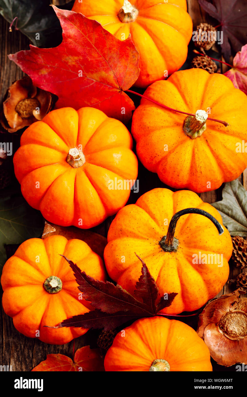 Autunno zucche su sfondo di legno Foto Stock
