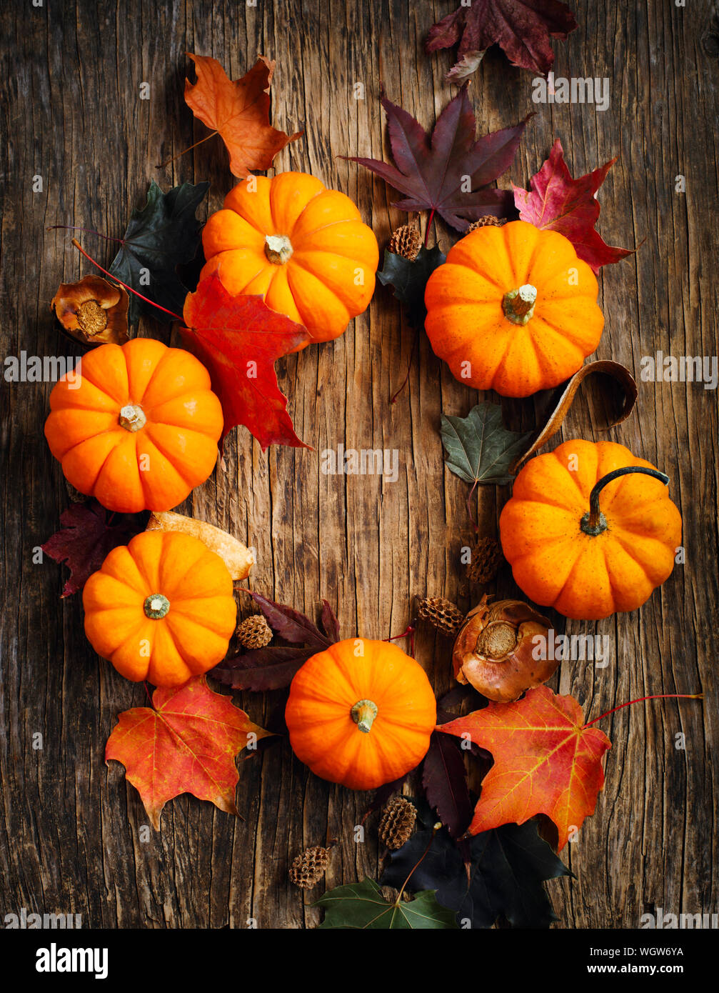 Autunno zucche su sfondo di legno Foto Stock