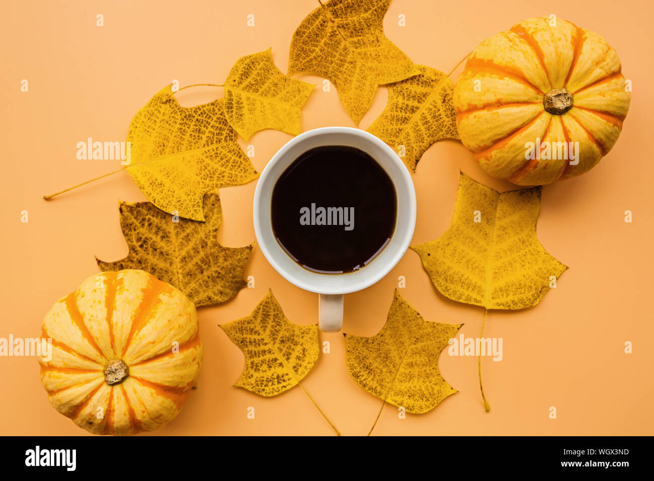 Autunno cornice fatta di zucche, una tazza di caffè e caduta foglie su sfondo arancione. Caduta, Halloween e concetto di ringraziamento. Elegante borsa laici piatta Foto Stock