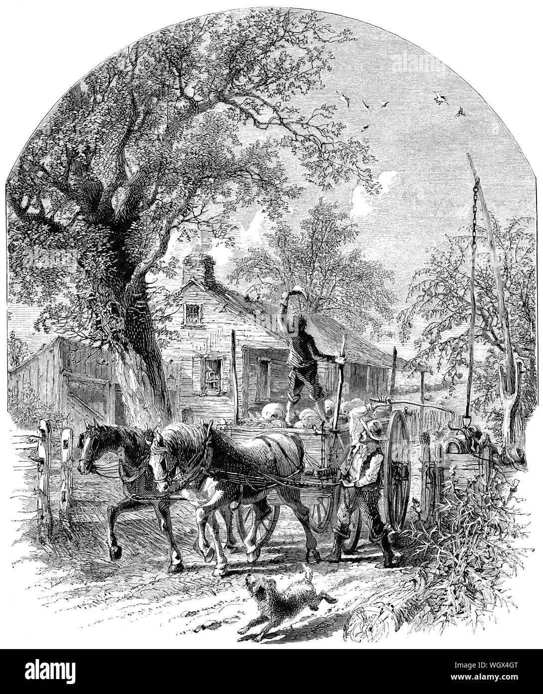 C1876 incisione di un homestead in Kansas, mostrando un agricoltore e i suoi cavalli e carrello, figlio e cane. Foto Stock