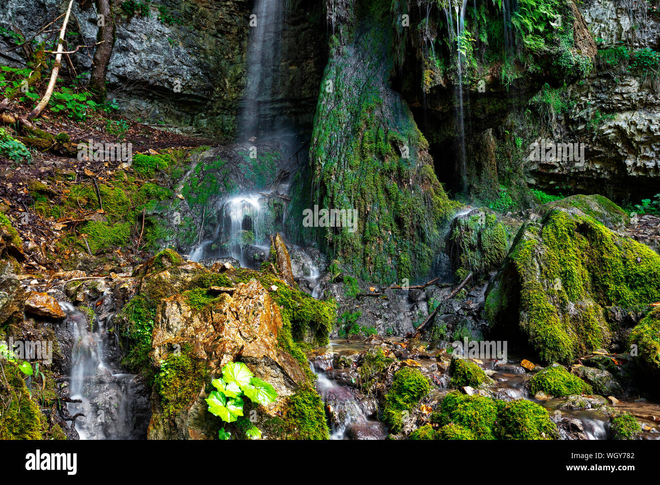 Tannegger cascata con le sue bizzarre formazione di tufo in Wutach Gorge Riserva Naturale della Foresta Nera, Baden-Württemberg, Germania Foto Stock