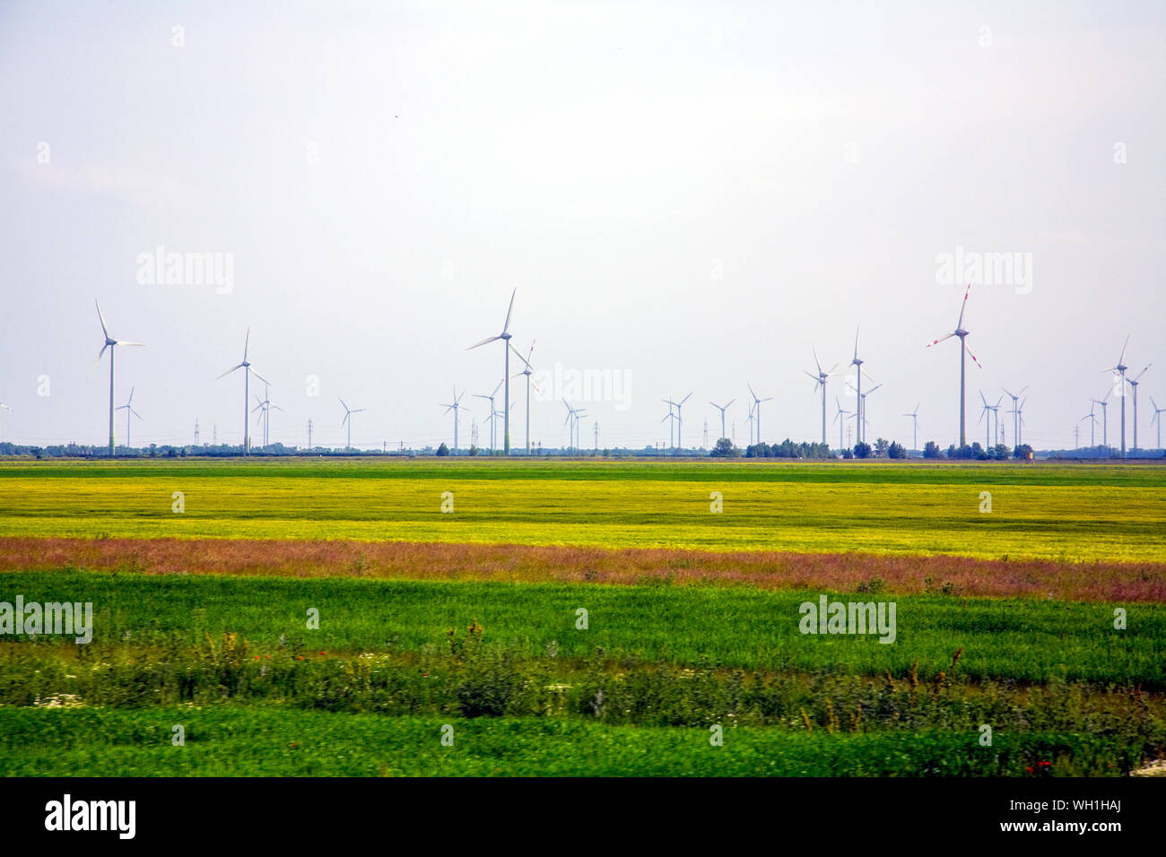 Le turbine eoliche in campi ad est di Vienna Austria Foto Stock